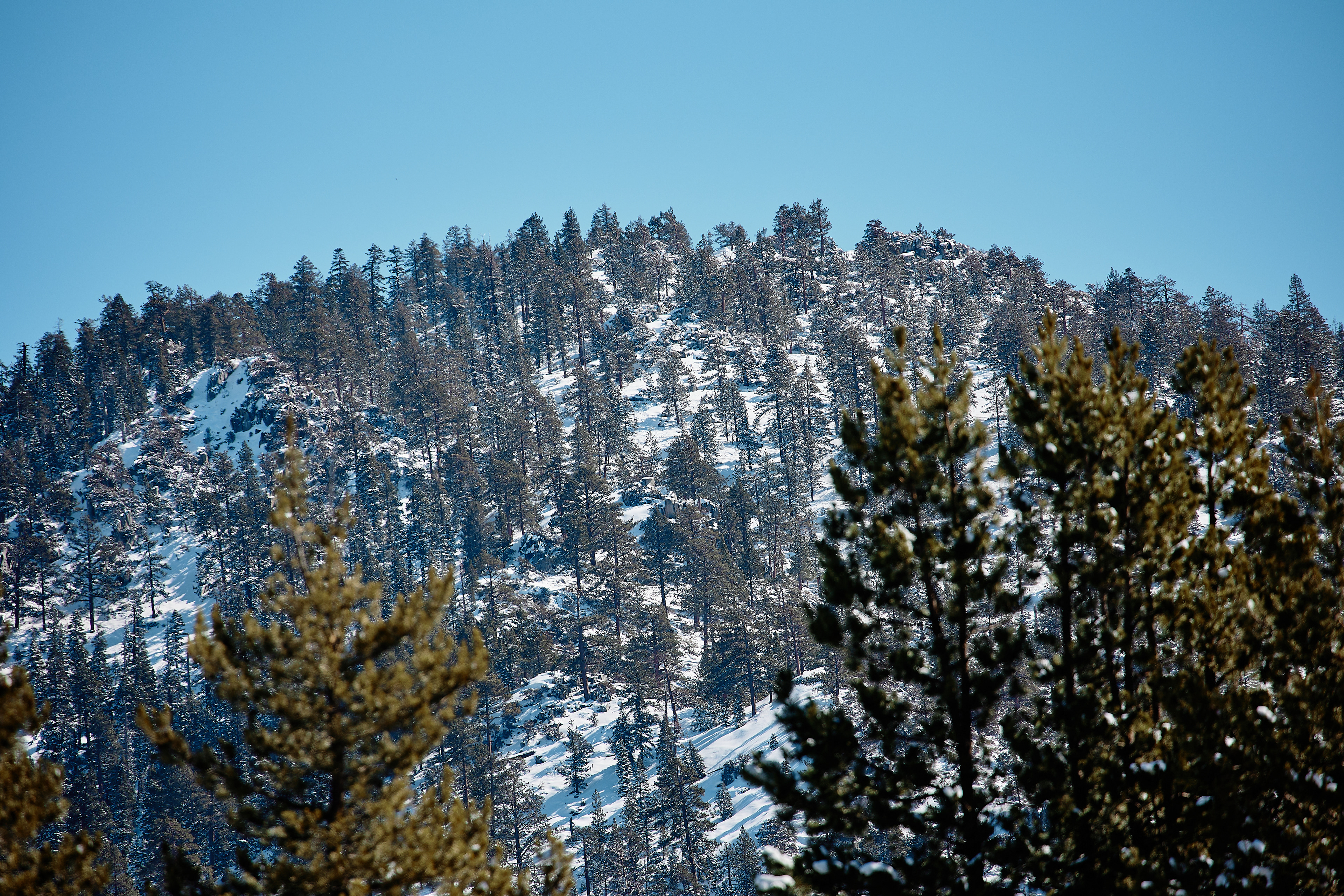 Bijou Park. EF70-300mm f/4-5.6L IS USM