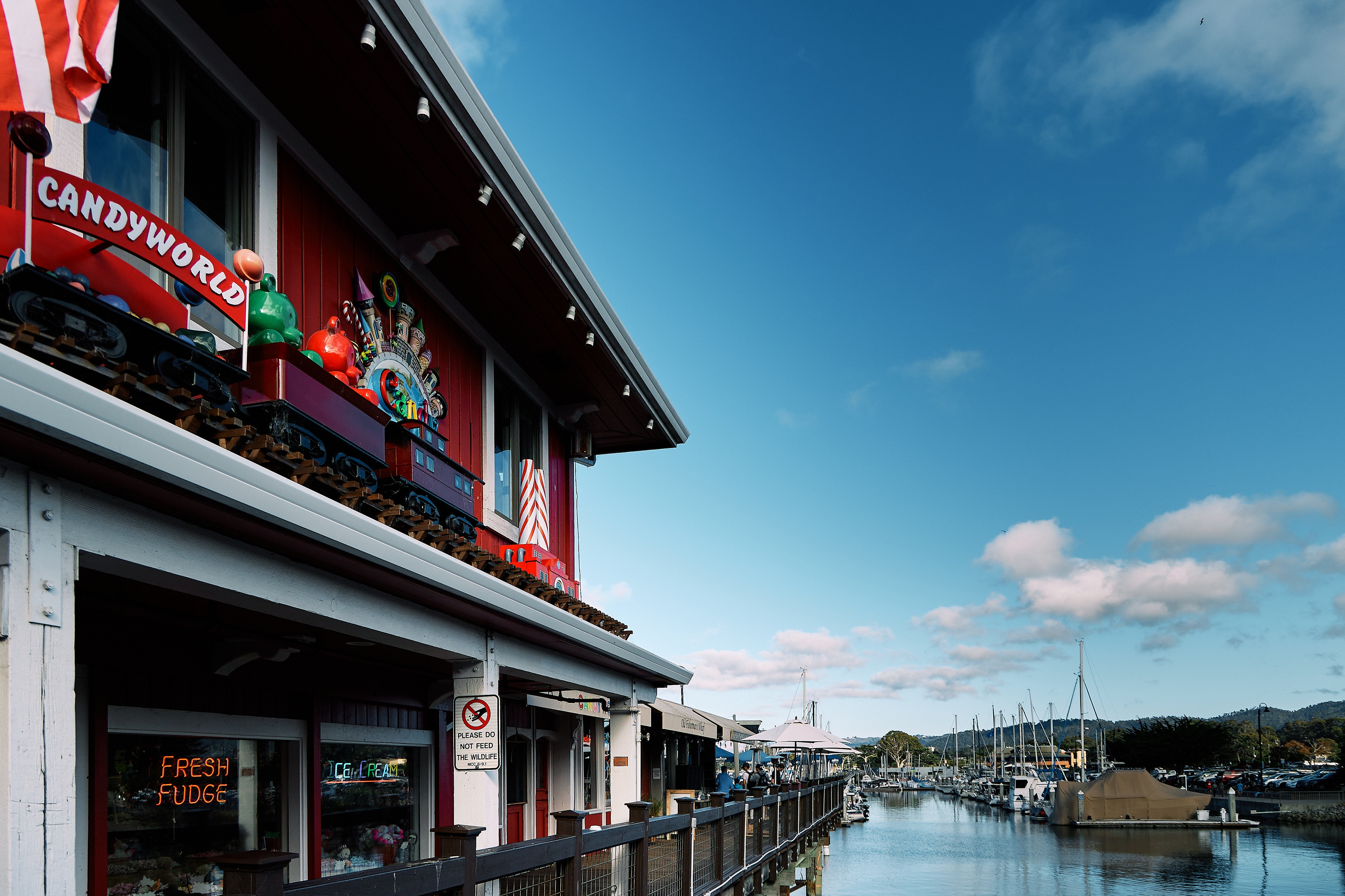 Monterey, California - July 2022. Canon EOS R6 | Canon RF 24-105mm F4L IS USM