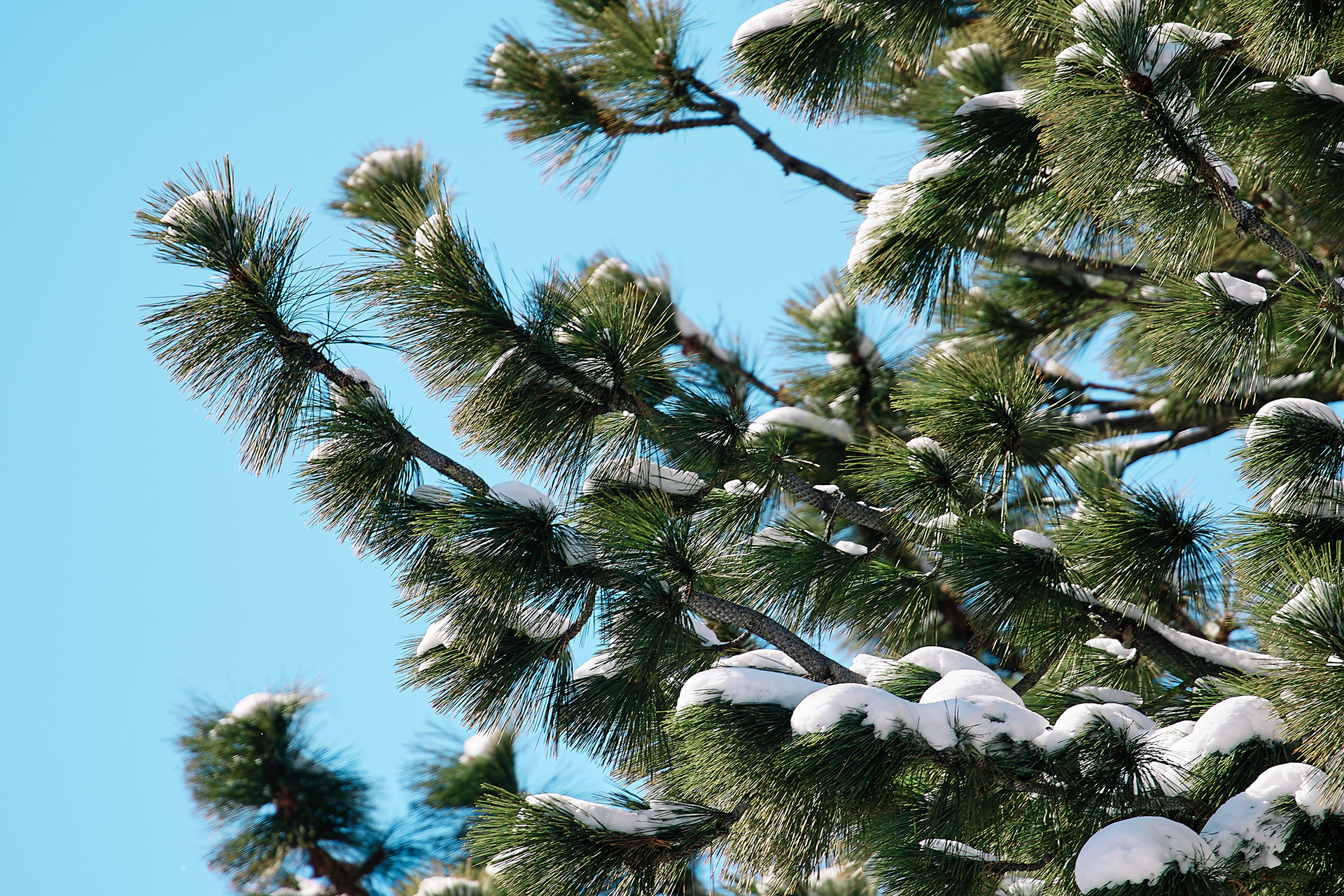 Lakeview Commons/El Dorado Beach, South Lake Tahoe. EF70-300mm f/4-5.6L IS USM