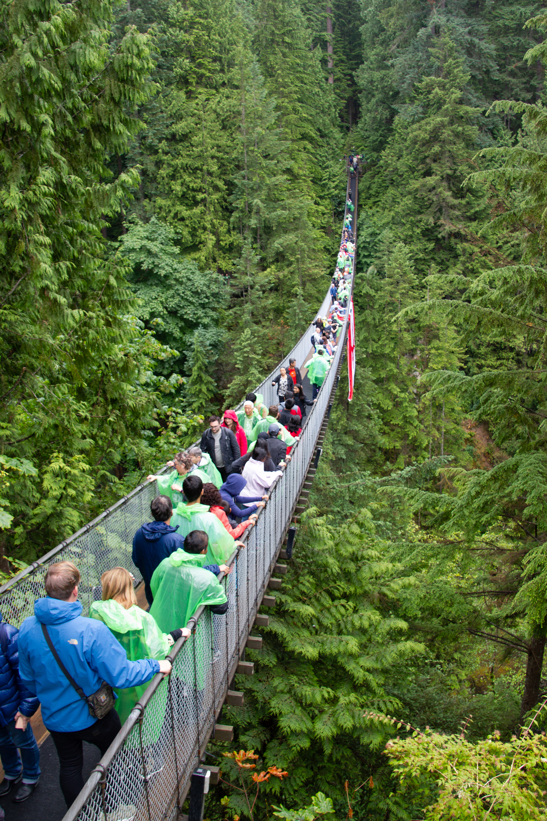 Capilano, suspension bridge, Canada. Canon EOS REBEL T2i | Tamron AF 18-270mm f/3.5-6.3 Di II VC PZD
