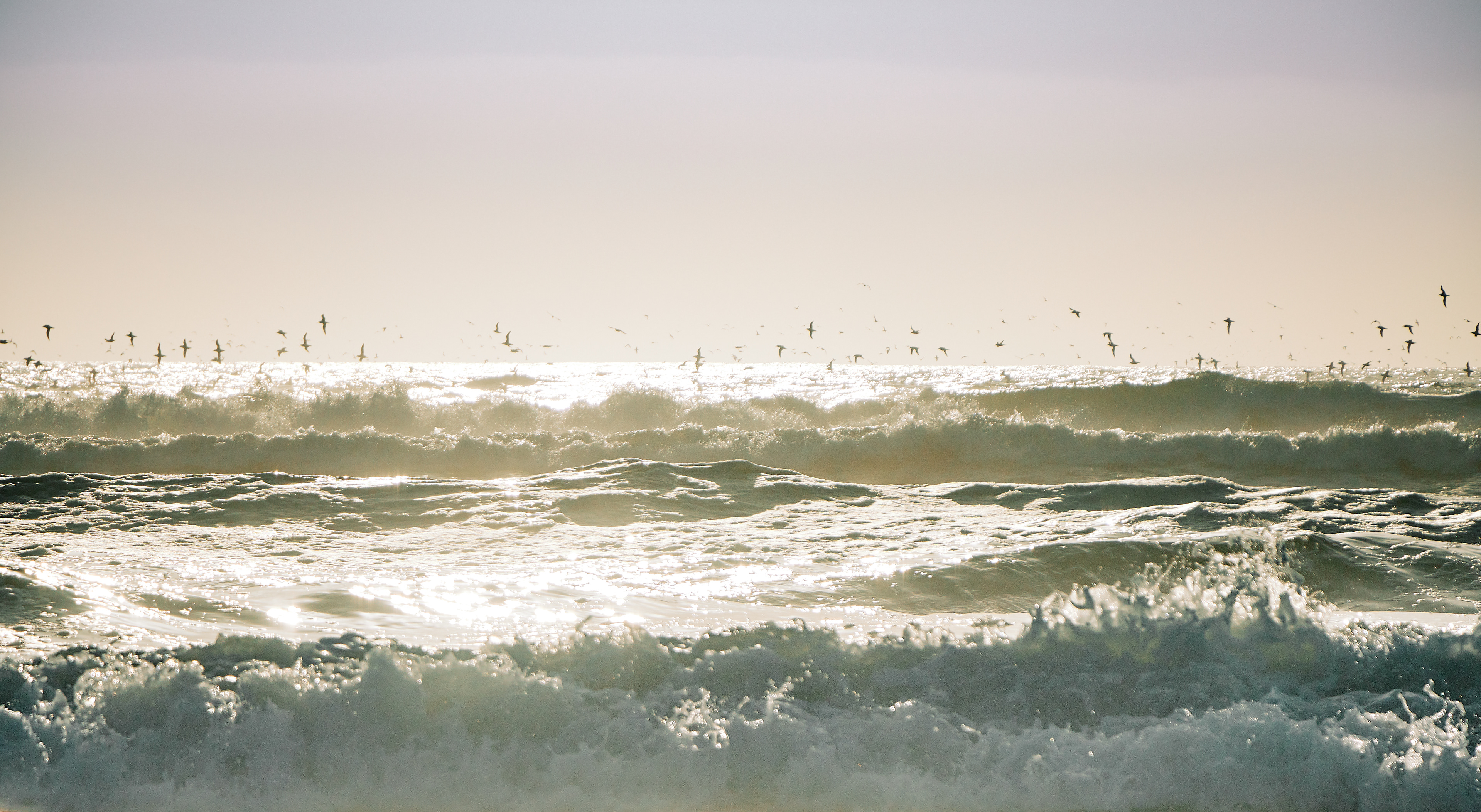 San Gregorio State Beach south of Half Moon Bay, San Mateo County, California • August 2020. Canon EOS 90D | 	Canon EF-S 18-135mm f/3.5-5.6 IS USM
