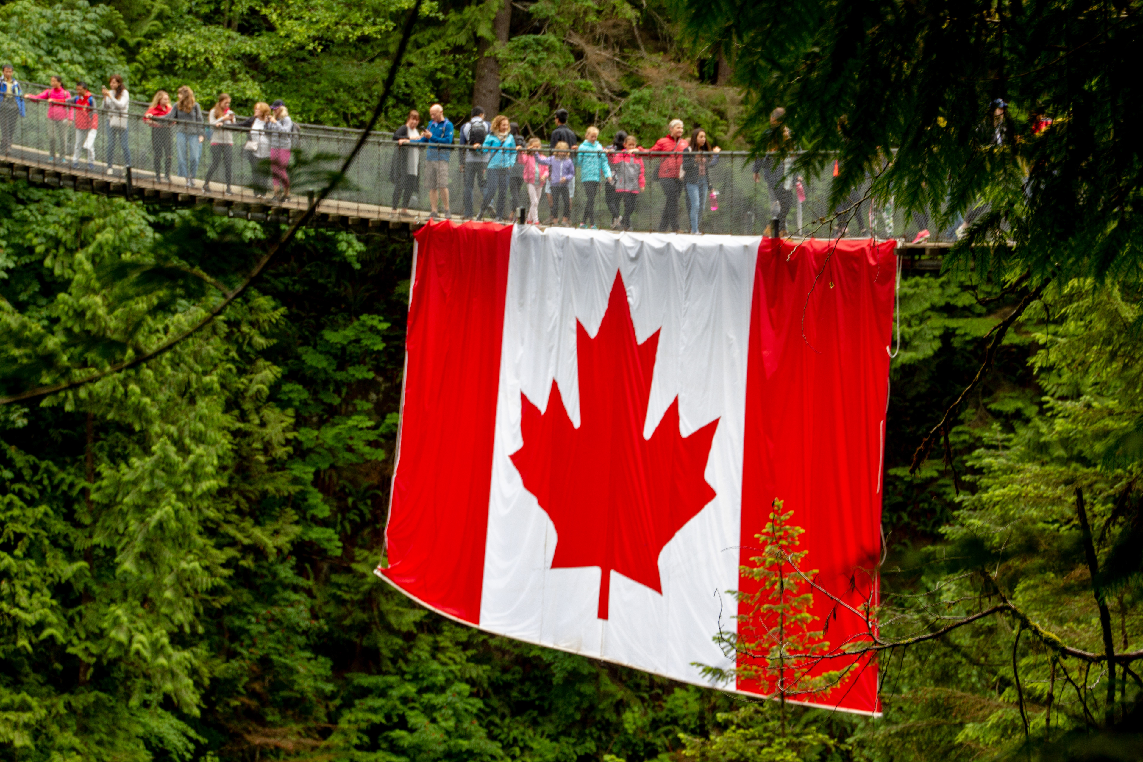 Capilano, suspension bridge, Canada. Canon EOS REBEL T2i | Tamron AF 18-270mm f/3.5-6.3 Di II VC PZD