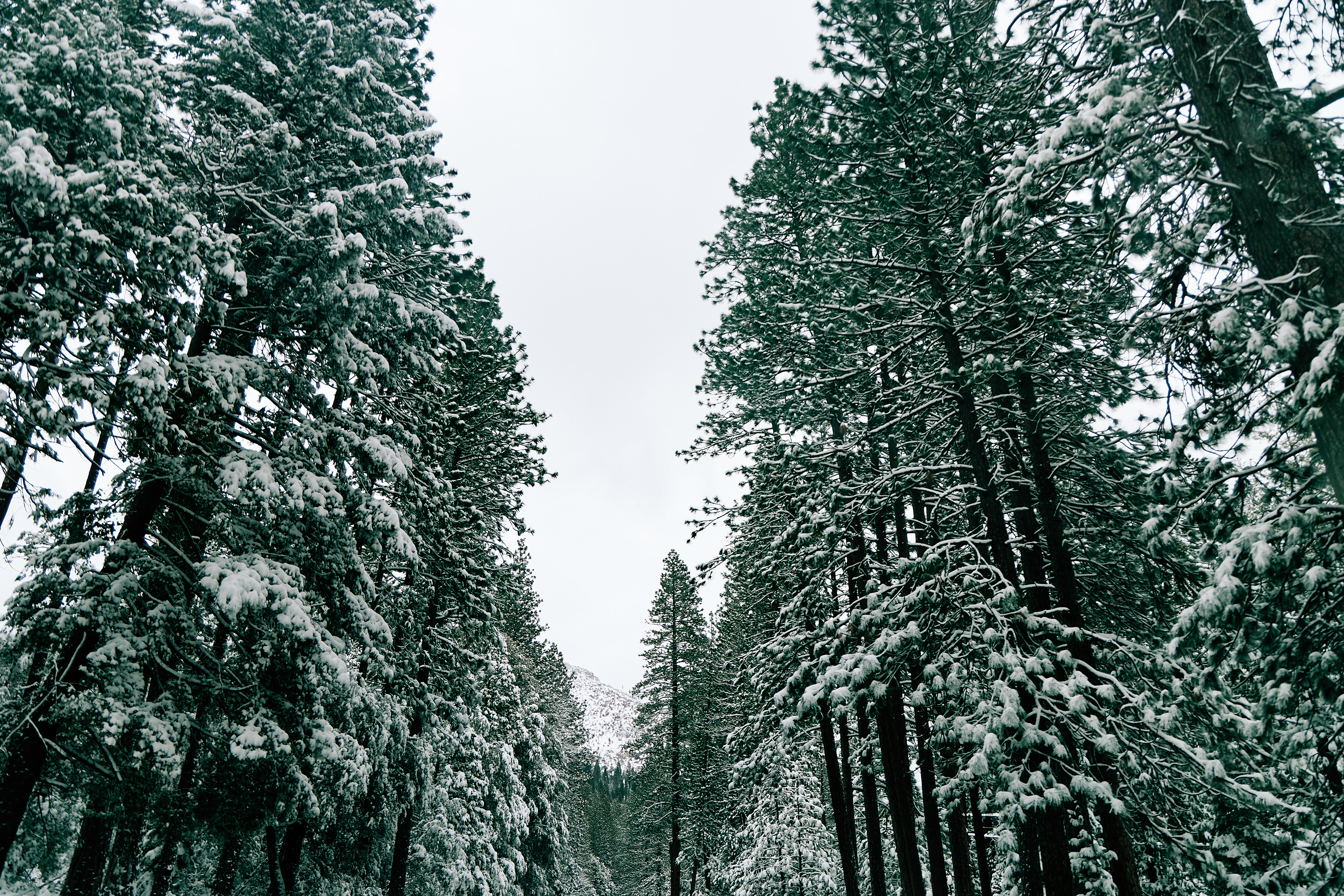 Highway 50 East to South Lake Tahoe. Canon RF 24-105mm F4L IS USM