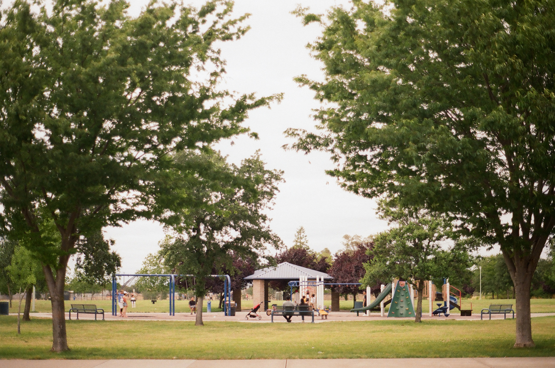 Camera: Minolta Maxxum 9000 Lens: Minolta 50mm 1.7 AF Film: Kodak Gold 200