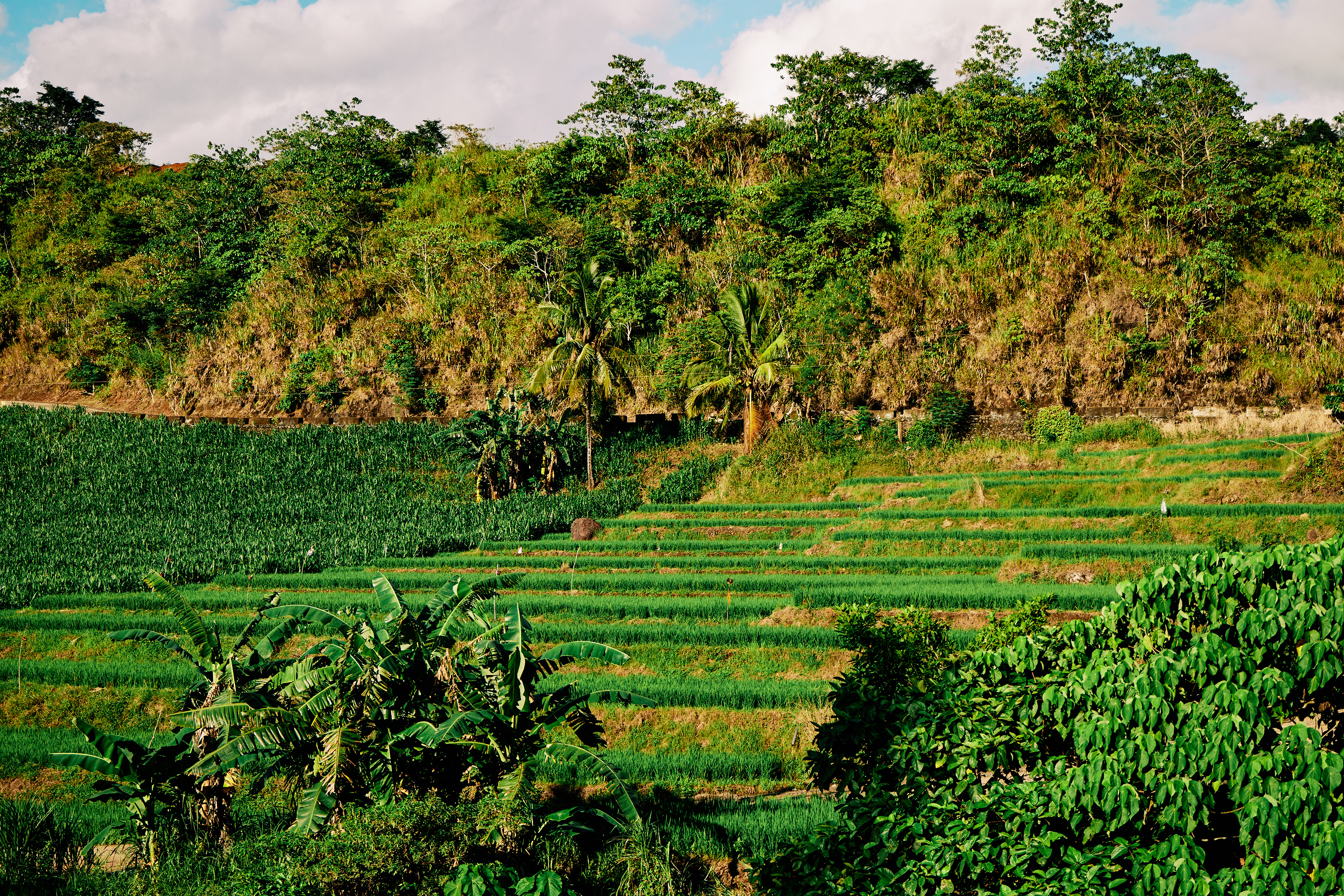 Quirino. Canon EOS R6 | Canon RF 24-105mm F4L IS USM