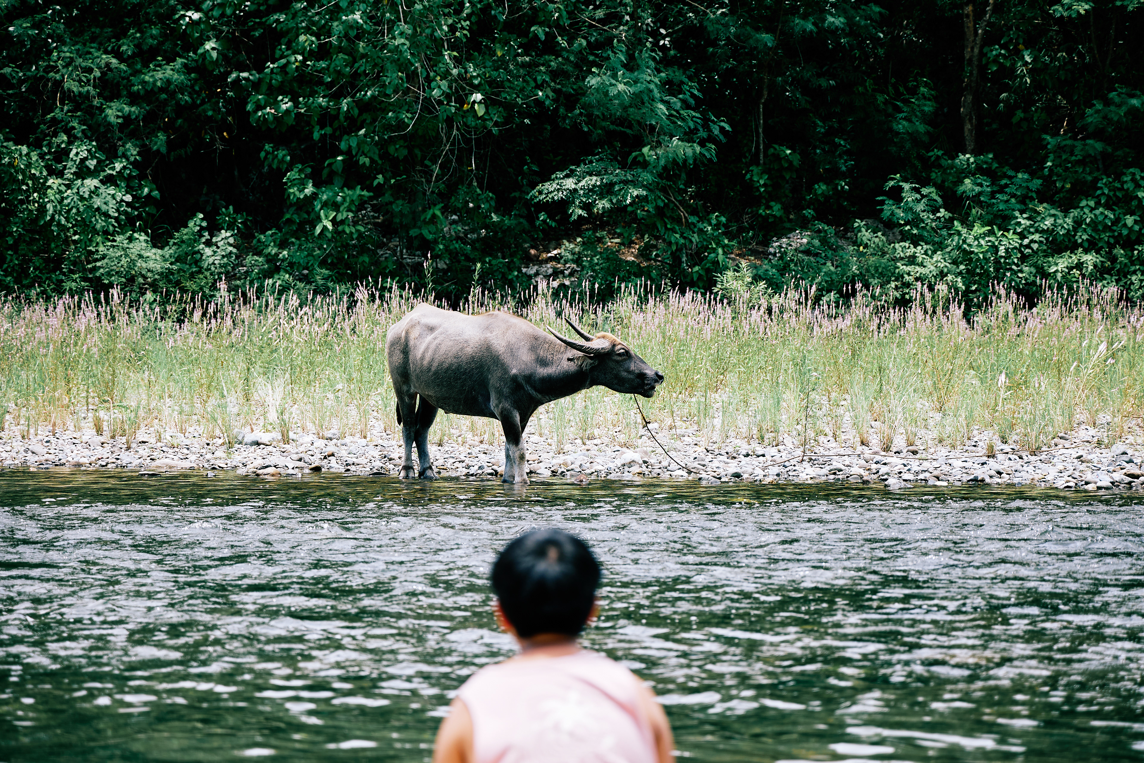 Maddela, Quirino. Canon EOS R6 | Canon RF 24-105mm F4L IS USM