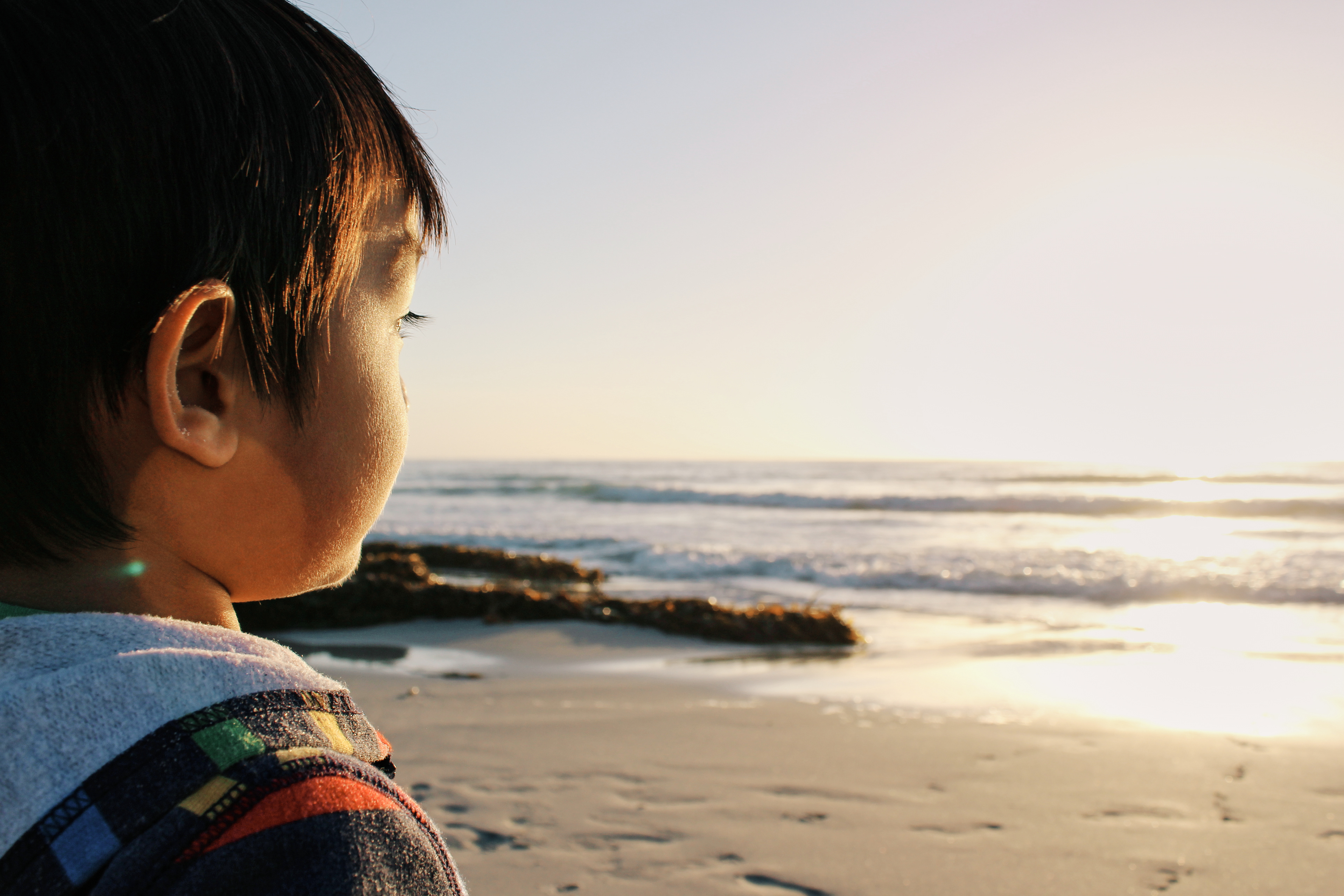 Canon EOS REBEL T2i | 18mm | f/8 | ISO100