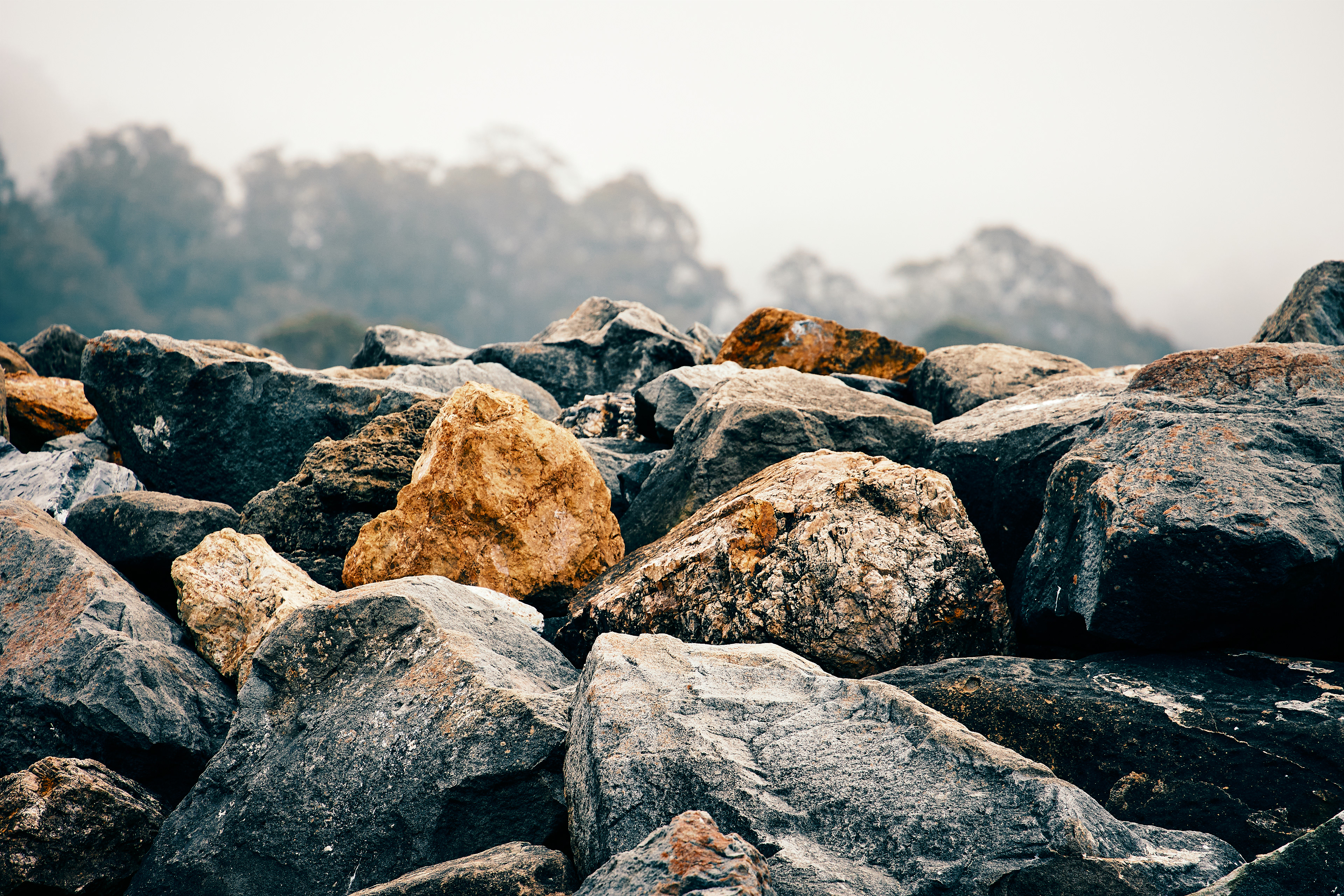 Half Moon Bay - April 2023. Canon EOS R6 | EF70-300mm f/4-5.6L IS USM