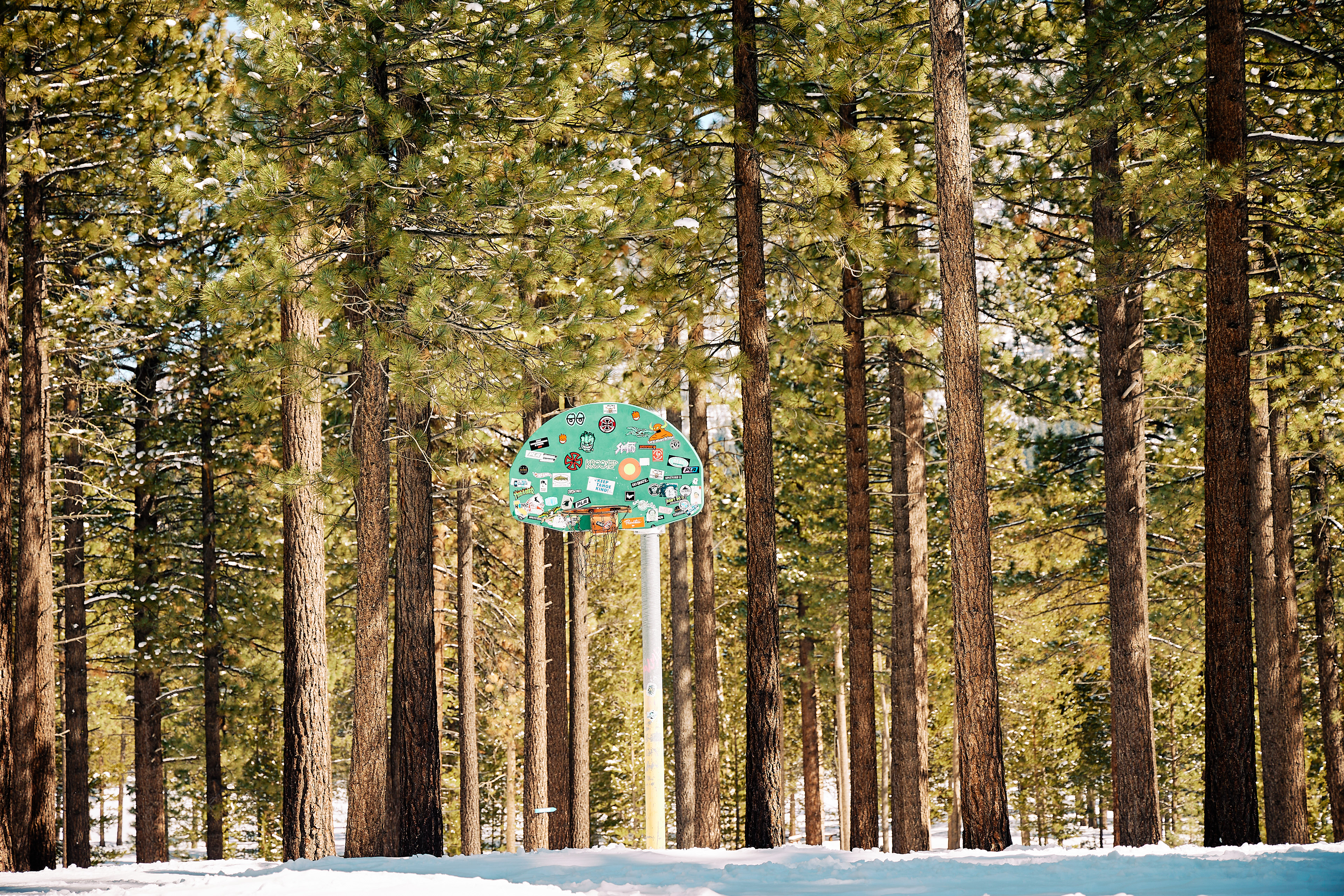 Bijou Park. Canon RF 24-105mm F4L IS USM