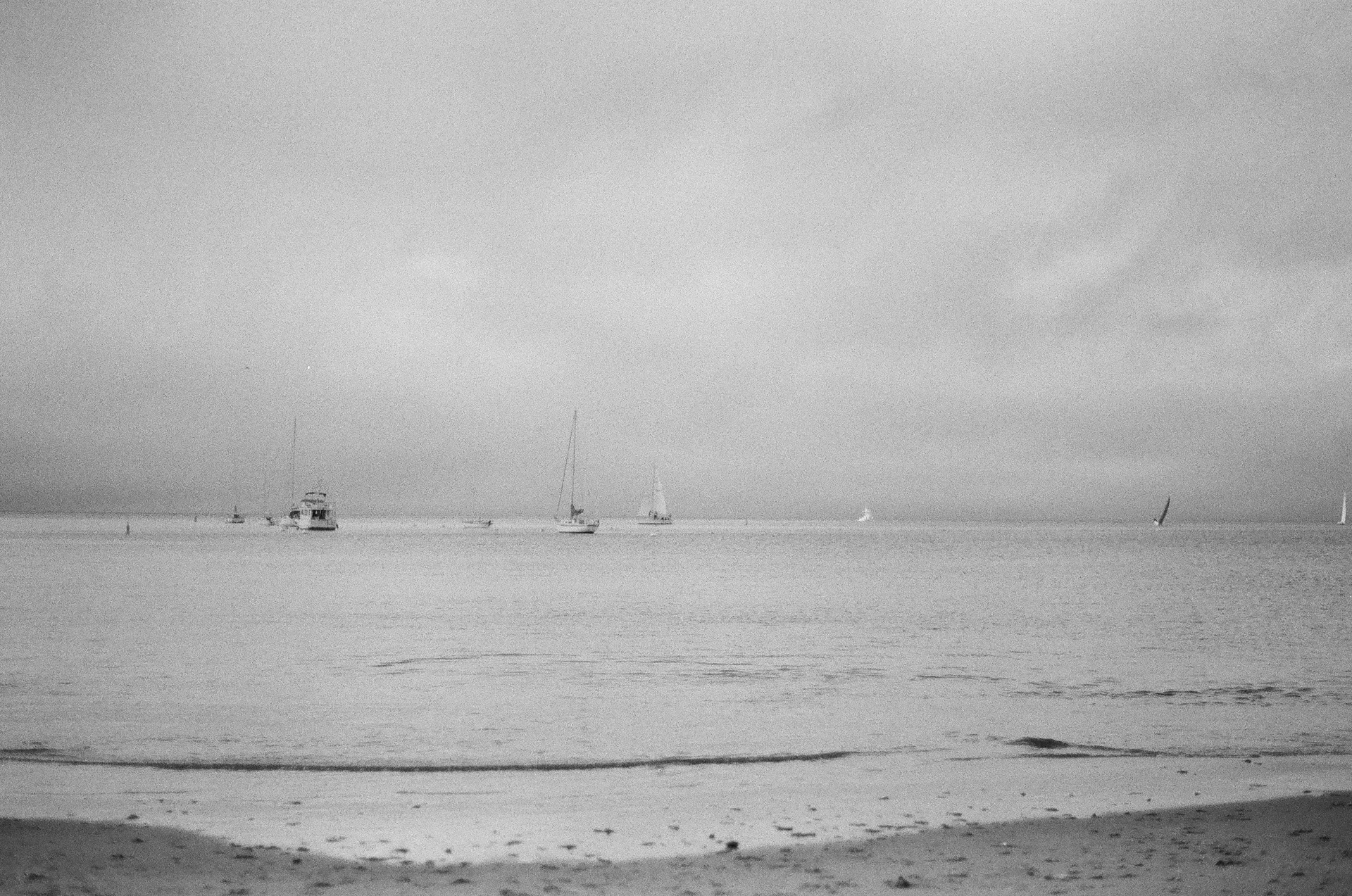 Camera: Minolta Maxxum 9000 Lens: Minolta 50mm 1.7 AF Film: Ilford HP5 Plus 400