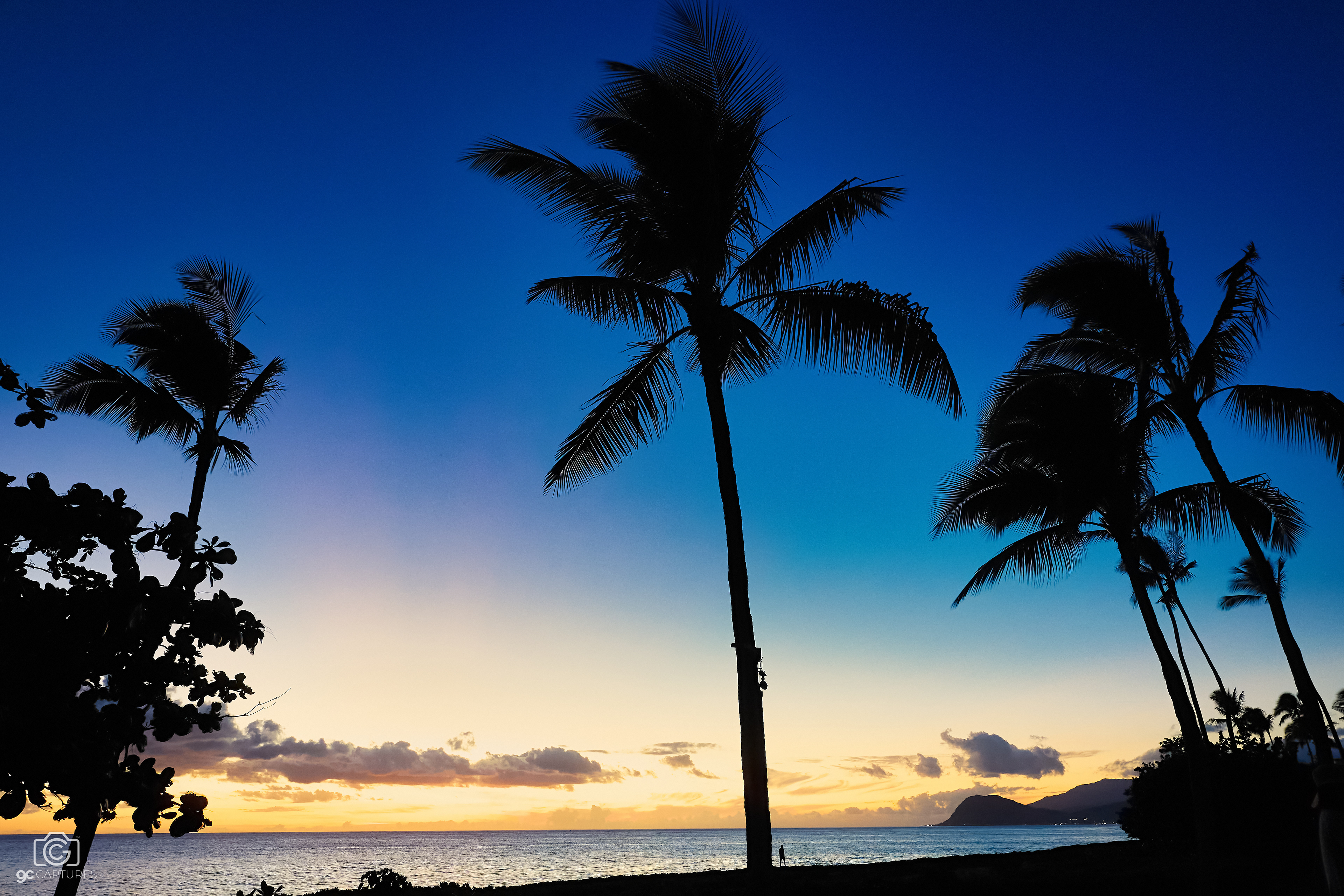 Canon RF 24mm F1.4 L VCM