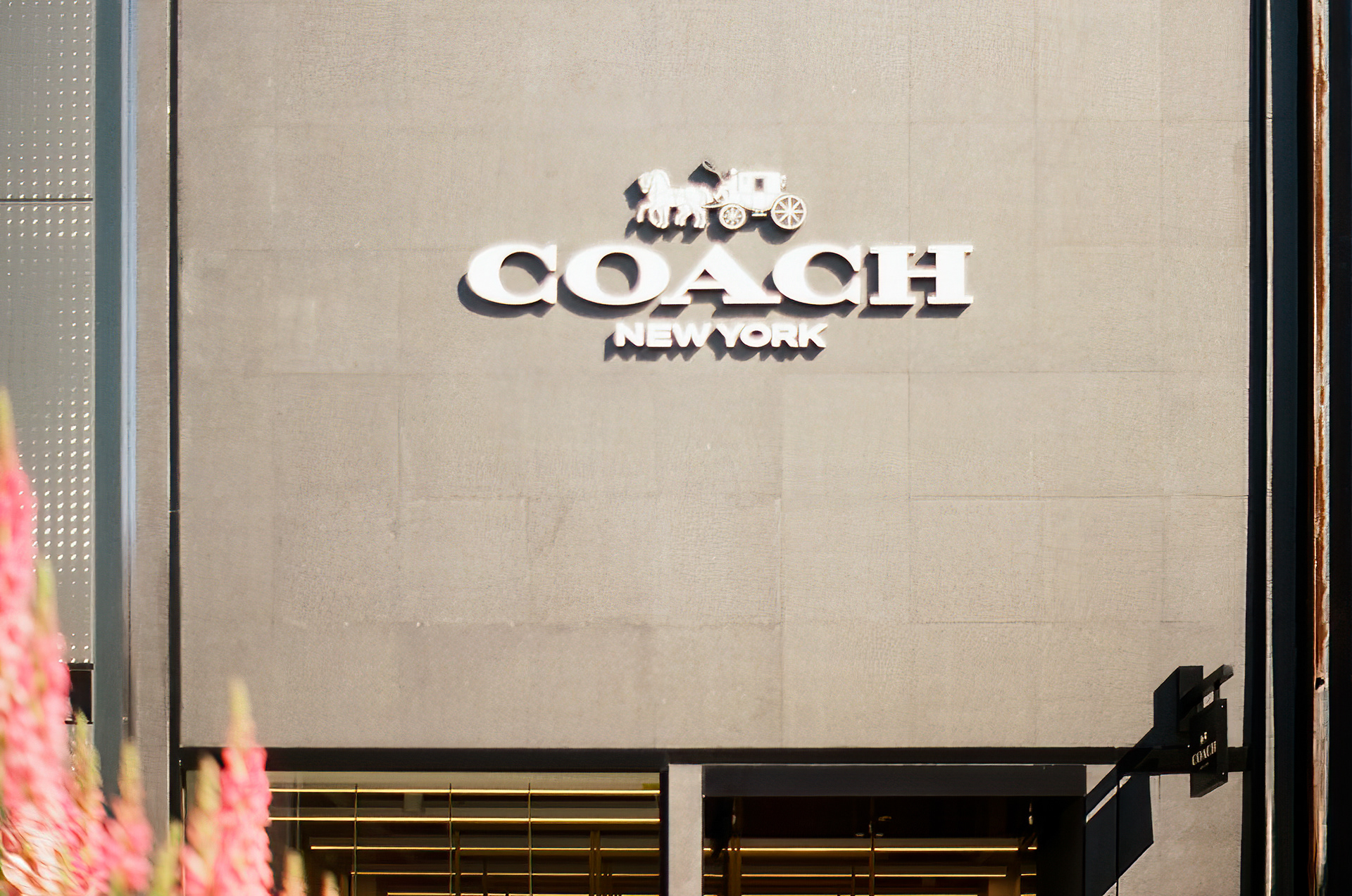 Camera: Minolta Maxxum 9000 Lens: Minolta 50mm 1.7 AF Film: Kodak Gold 200