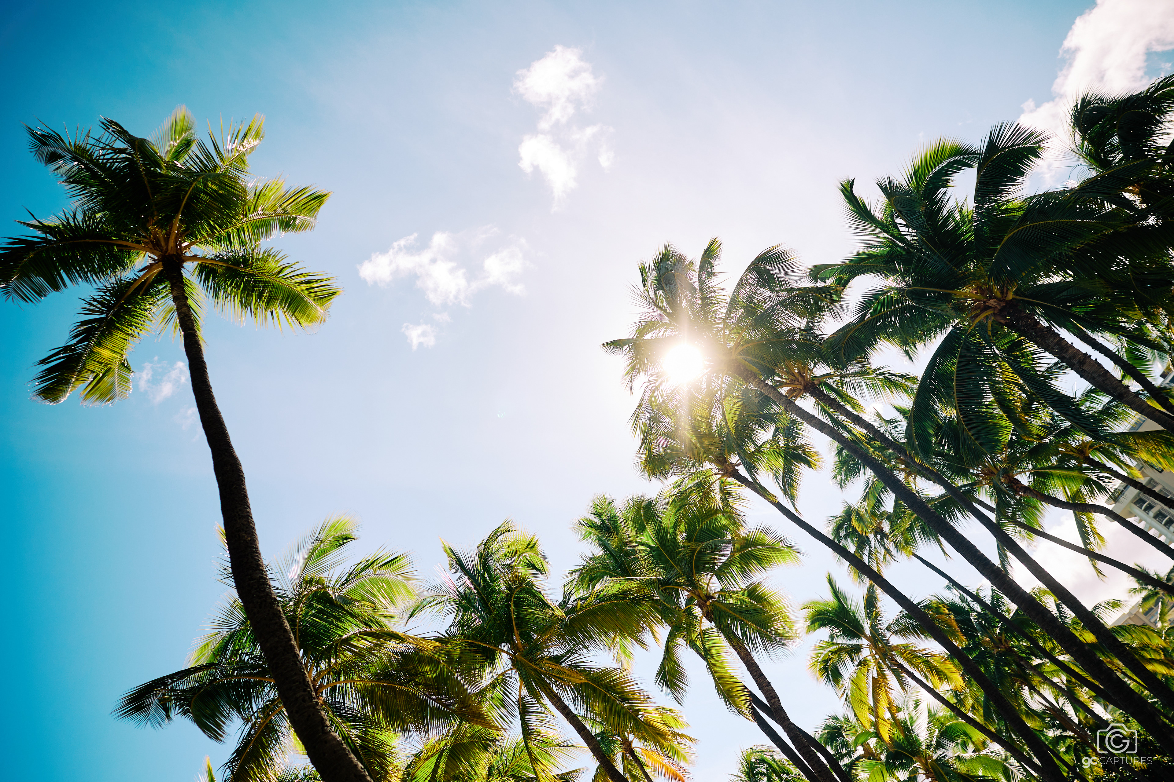 Canon RF 24mm F1.4 L VCM