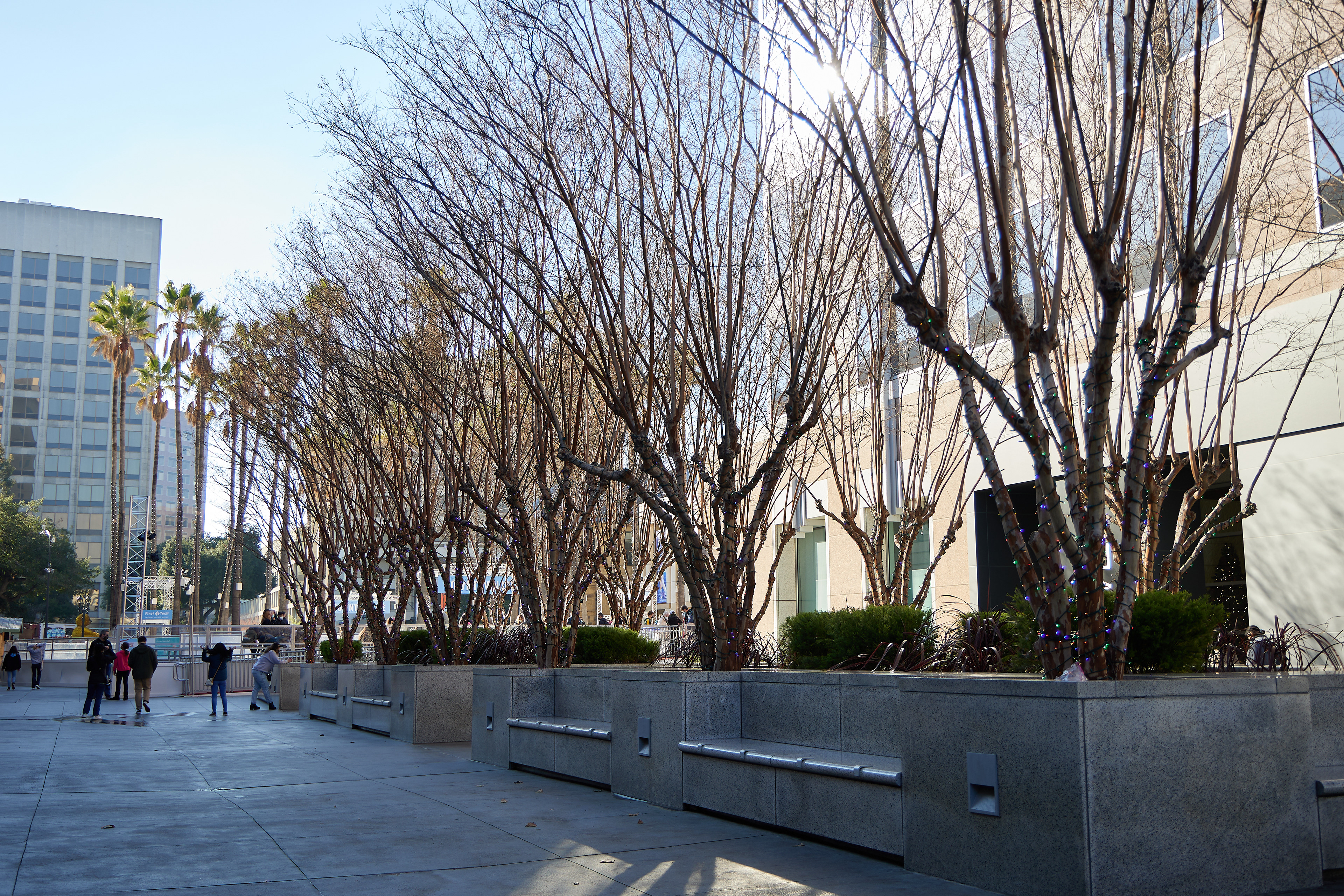 Christmas at the Park, Downtown San Jose - Dec 2012. Canon EOS R6 | Canon RF 24-105mm F4L IS USM