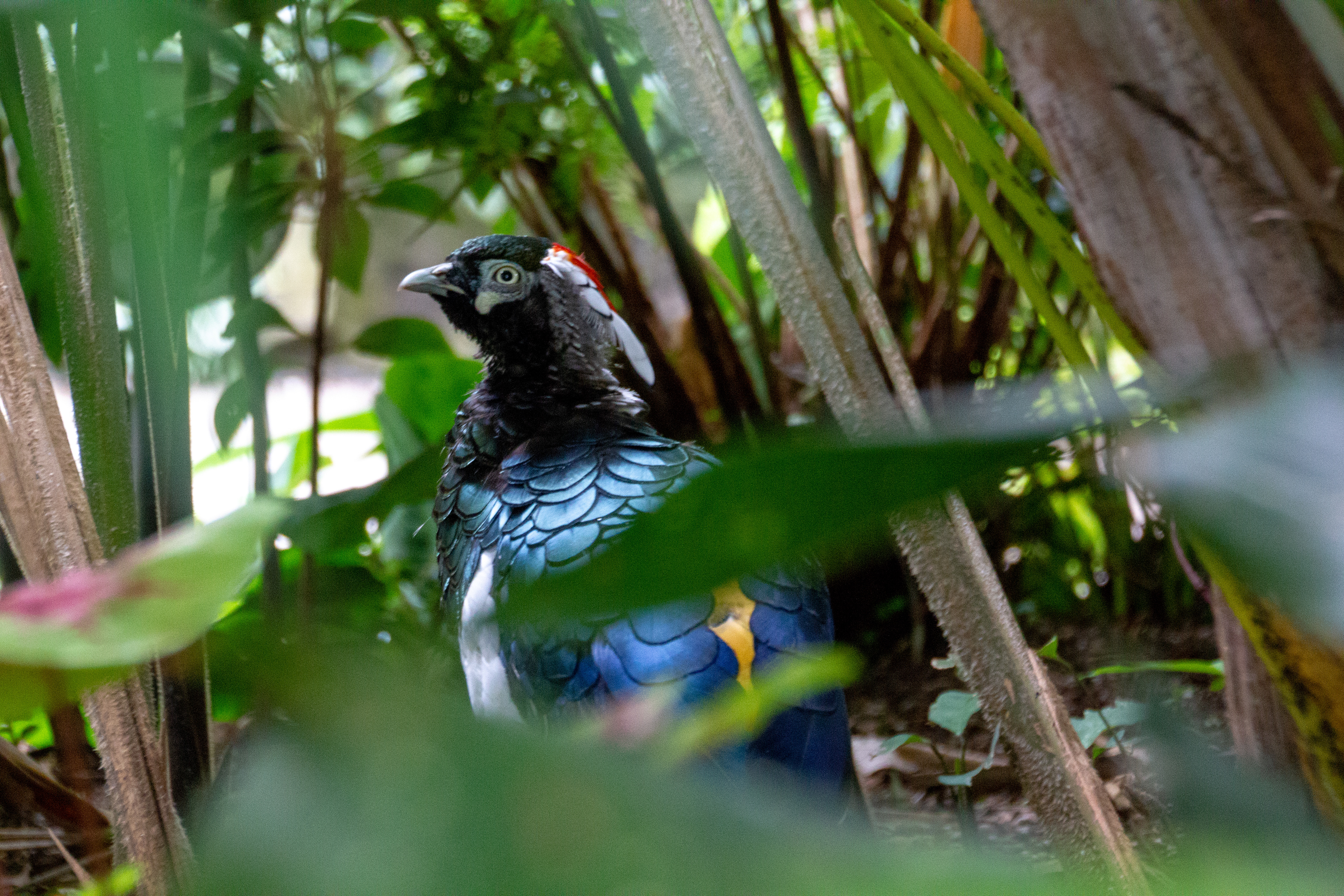 Canon EOS REBEL T2i | Tamron AF 18-270mm f/3.5-6.3 Di II VC PZD