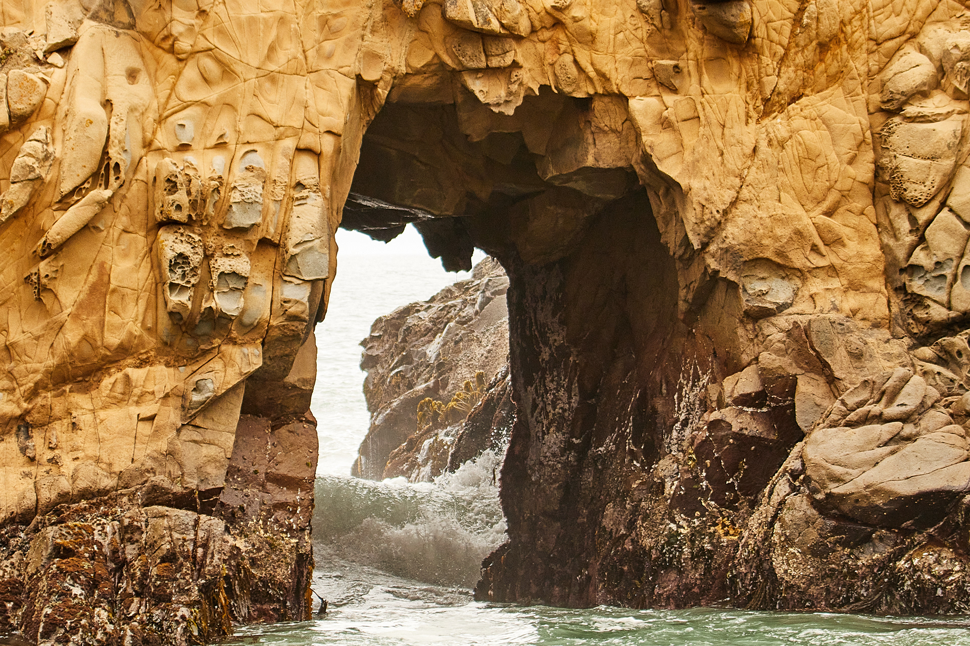 Pfeiffer Beach - July 2020. Canon EOS 90D | EF70-300mm f/4-5.6L IS USM