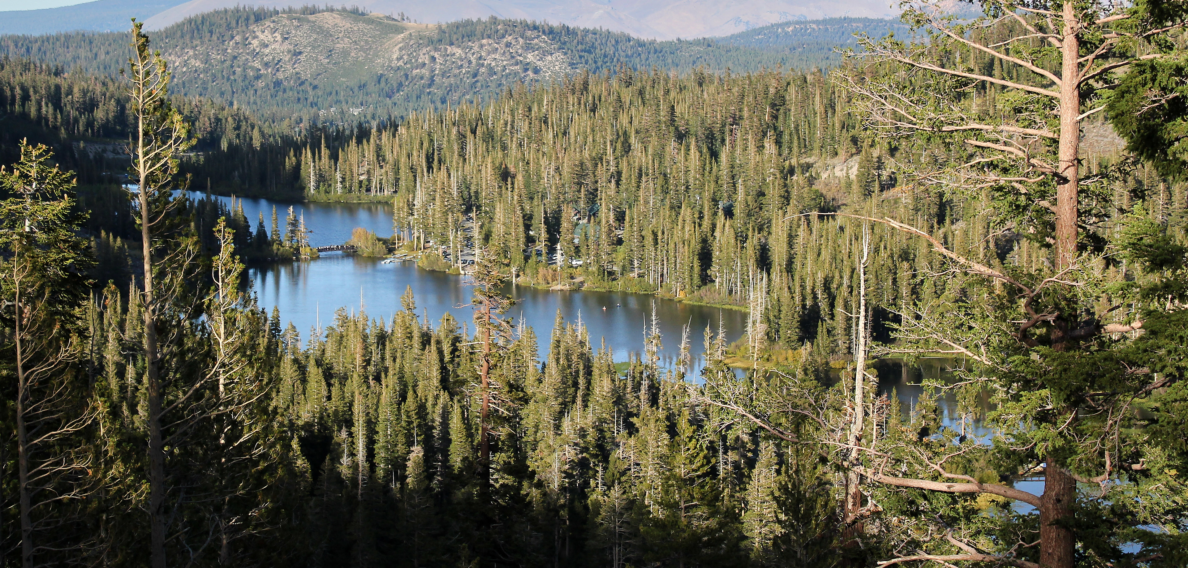 Mammoth Lakes, California - Oct 2010. Canon EOS REBEL T2i