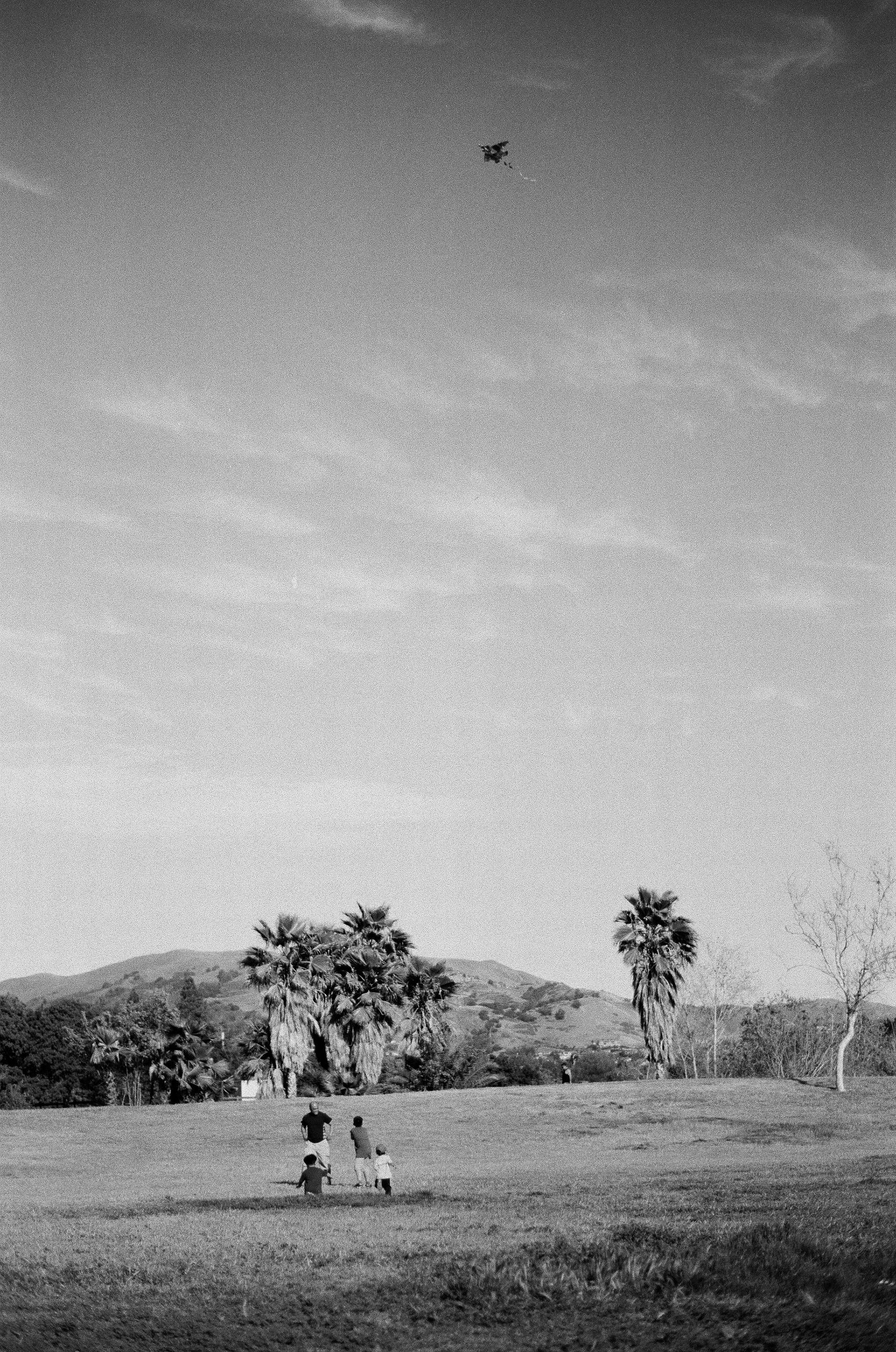 San Jose • March 2022 • Minolta Maxxum 9000 • Minolta 50mm 1.7 AF • Kodak Select Series 400 B&W Plus