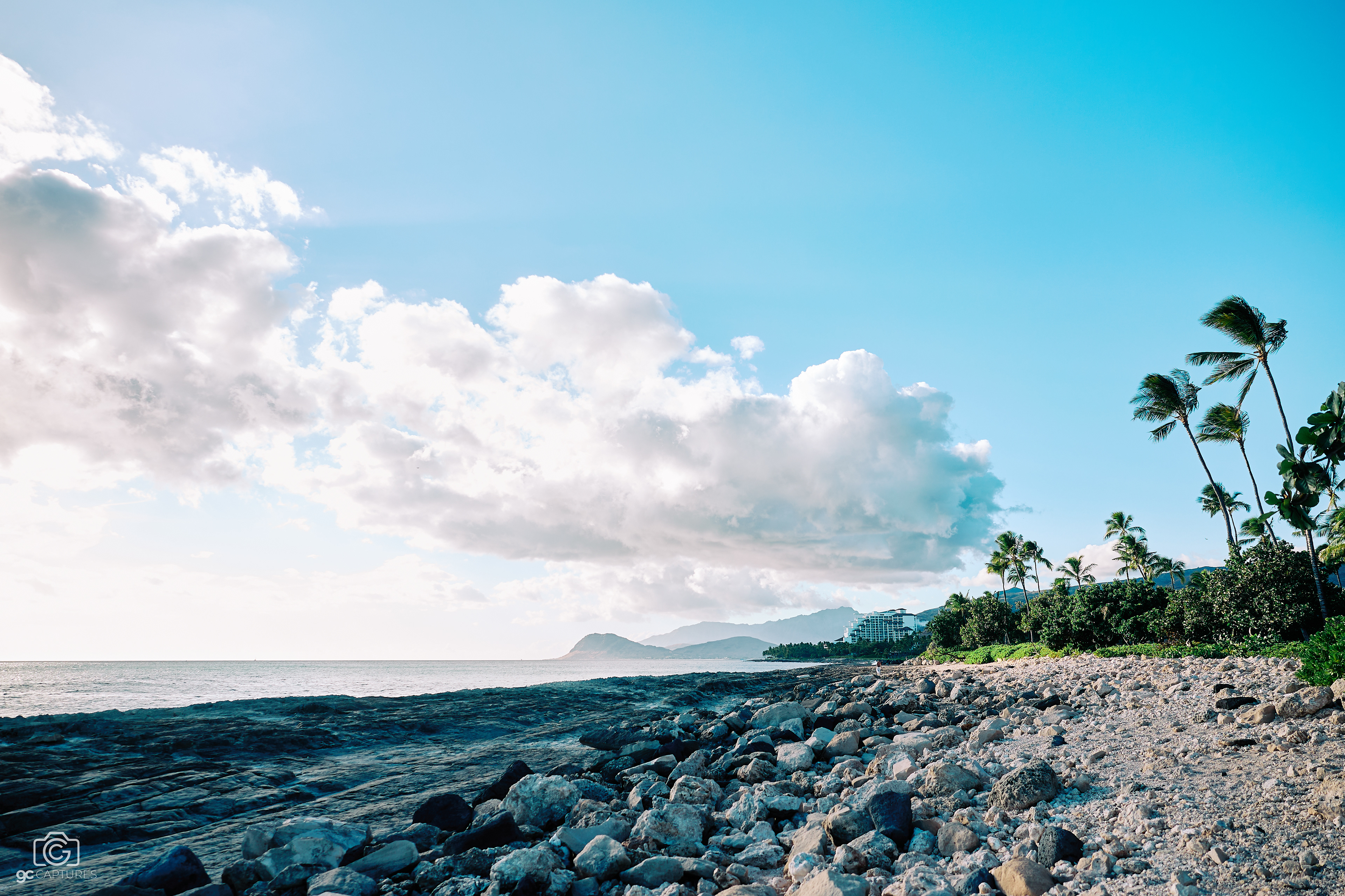 Canon RF 24mm F1.4 L VCM