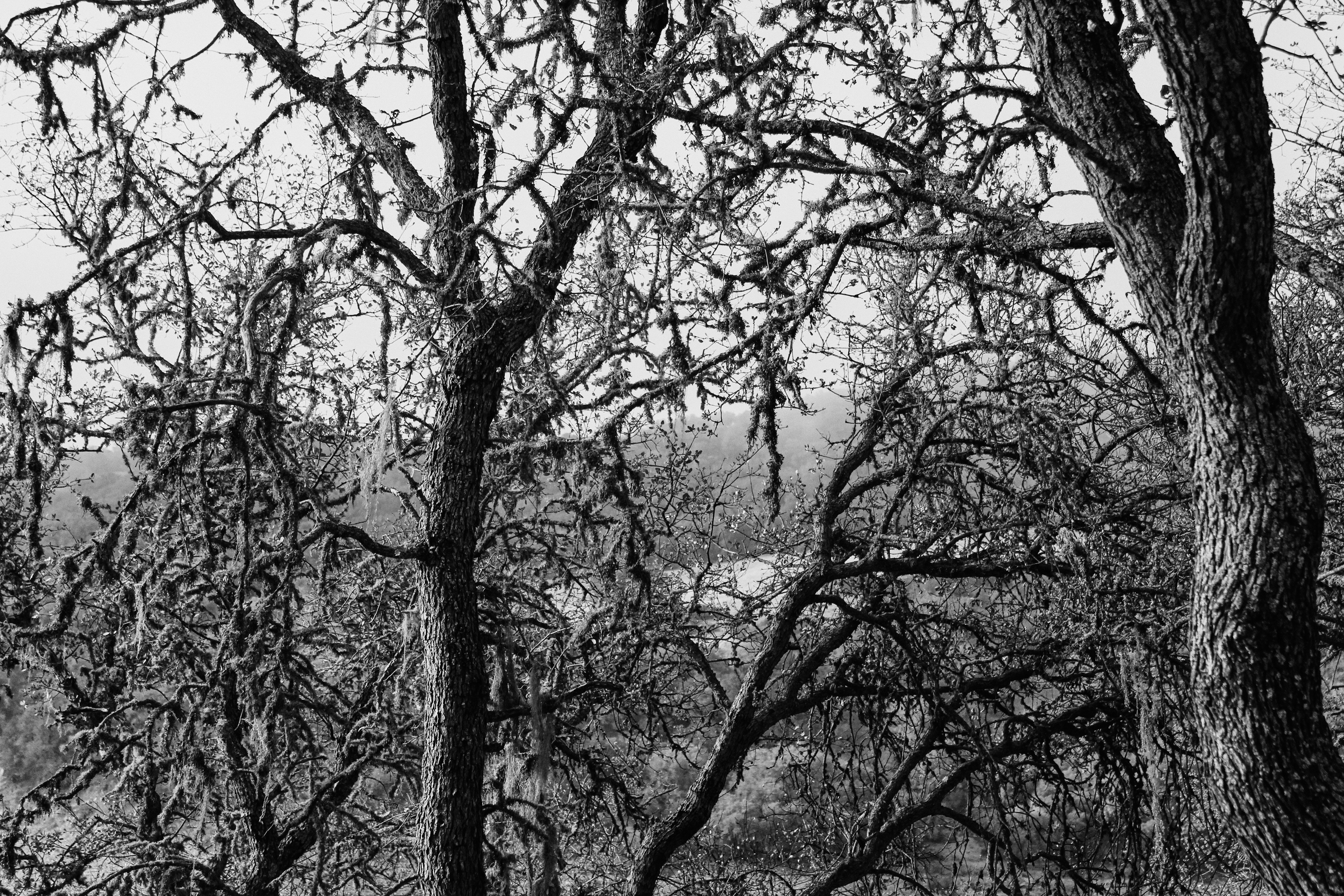 2013. Canon EOS REBEL T2i