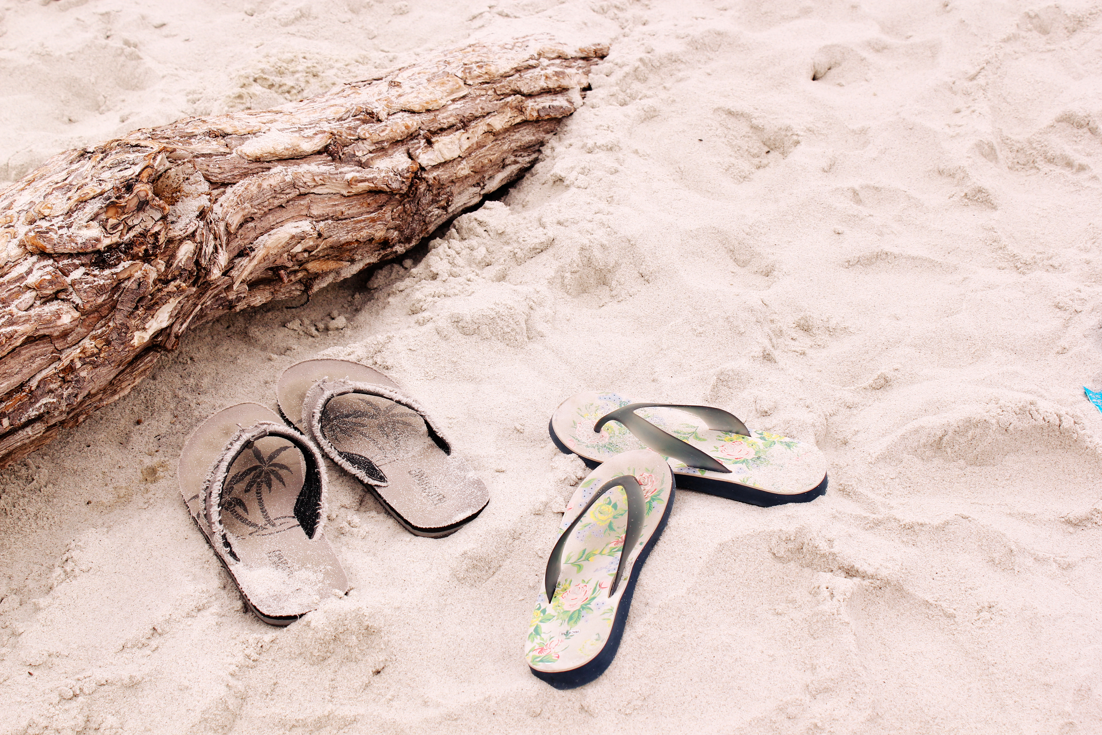 Canon EOS REBEL T2i | 39mm | f/9 | ISO100