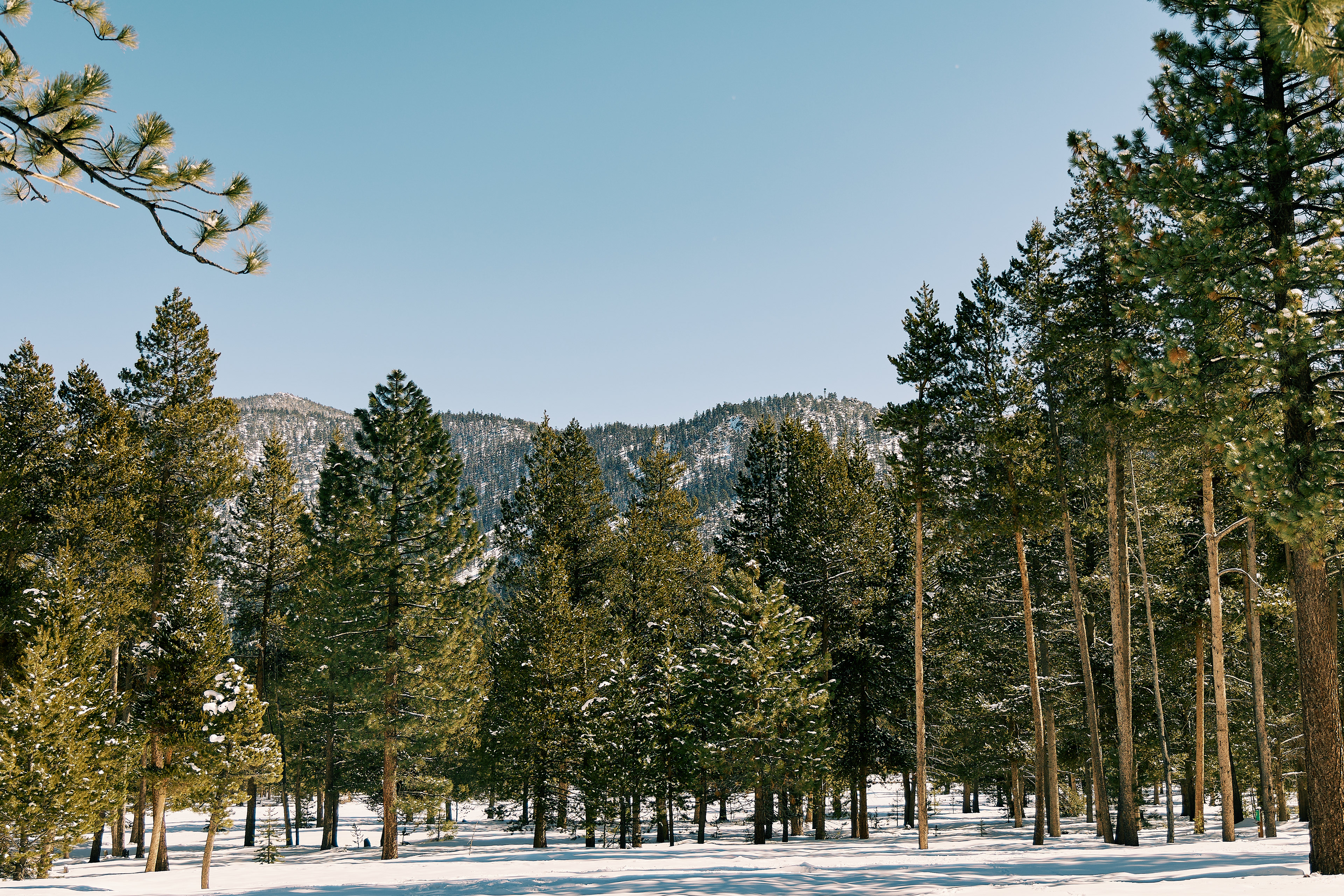 Bijou Park. Canon RF 24-105mm F4L IS USM
