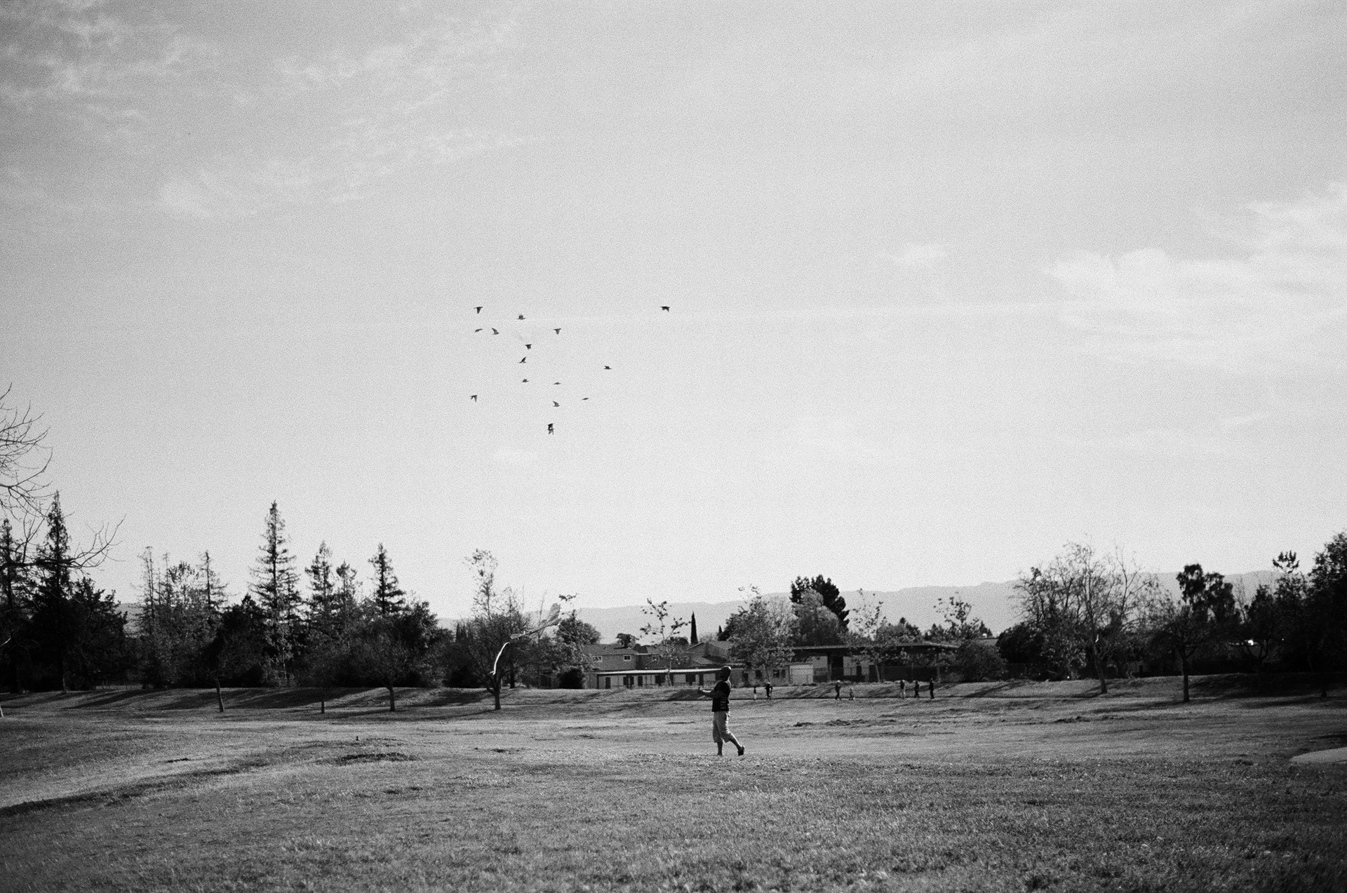 San Jose • March 2022 • Minolta Maxxum 9000 • Minolta 50mm 1.7 AF • Kodak Select Series 400 B&W Plus