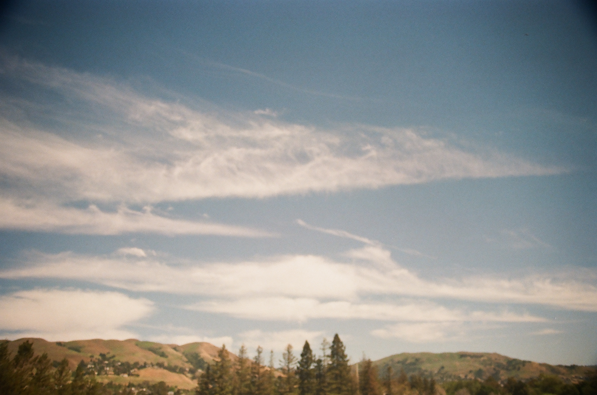 San Jose • March 2022 • Minolta Maxxum 9000 • Vivitar 28-200mm 3.5-5.6