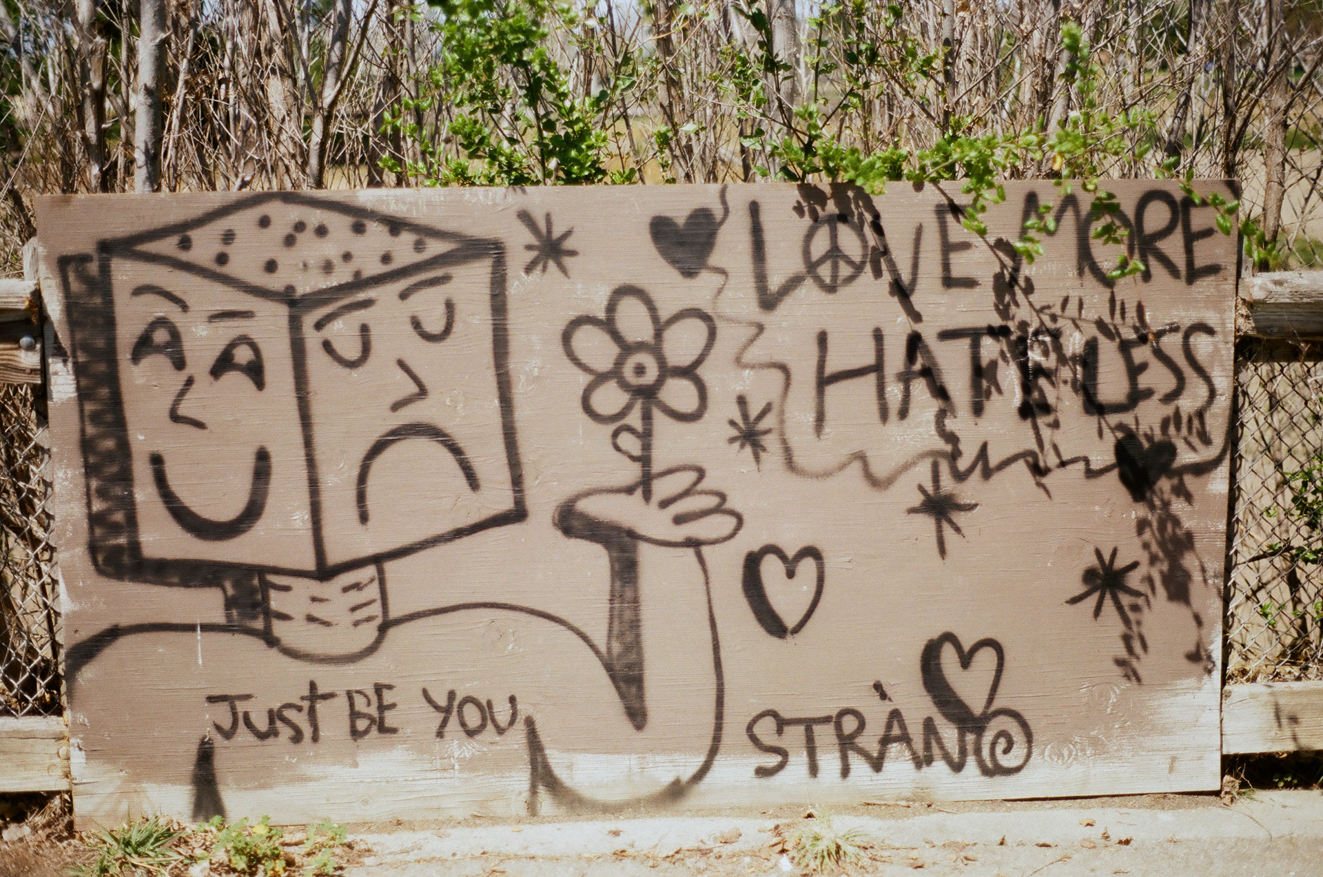 San Jose • March 2022 • Minolta Maxxum 9000 • Minolta 50mm 1.7 AF