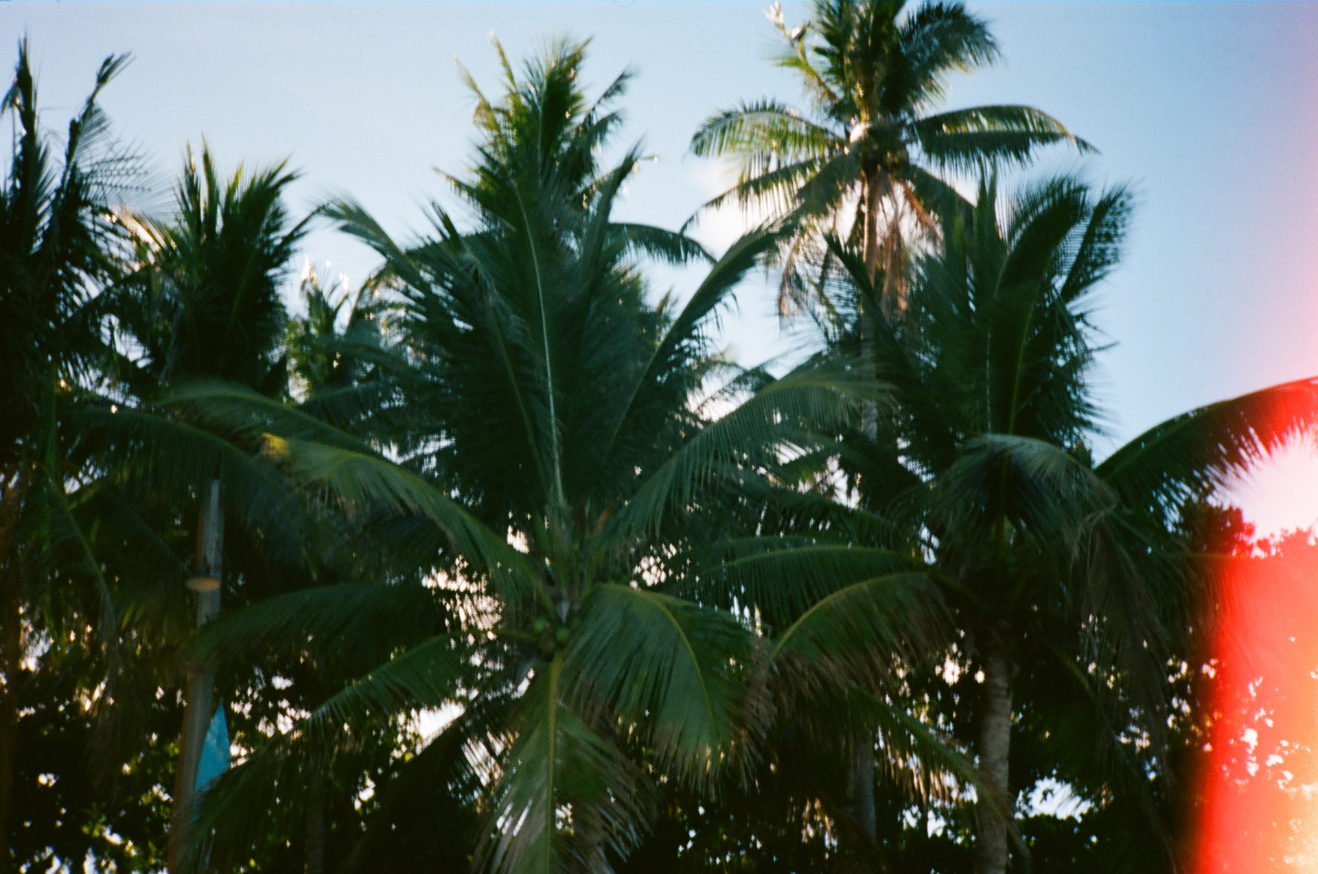 Philippines. Camera: Konica C35 AF Lens: Hexanon 38mm f/2.8 Film: Kodak Professional Portra 400