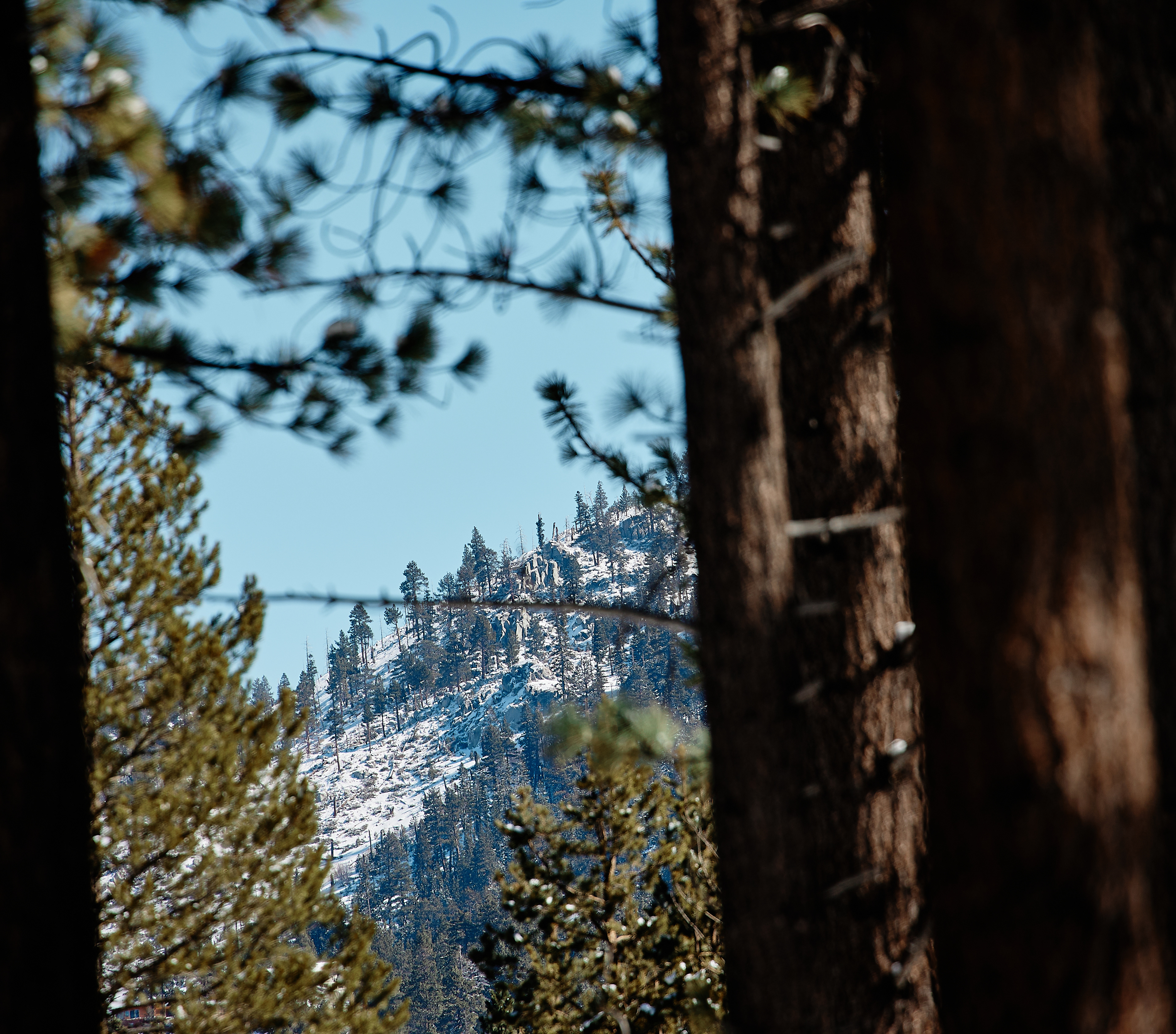 Bijou Park. EF70-300mm f/4-5.6L IS USM