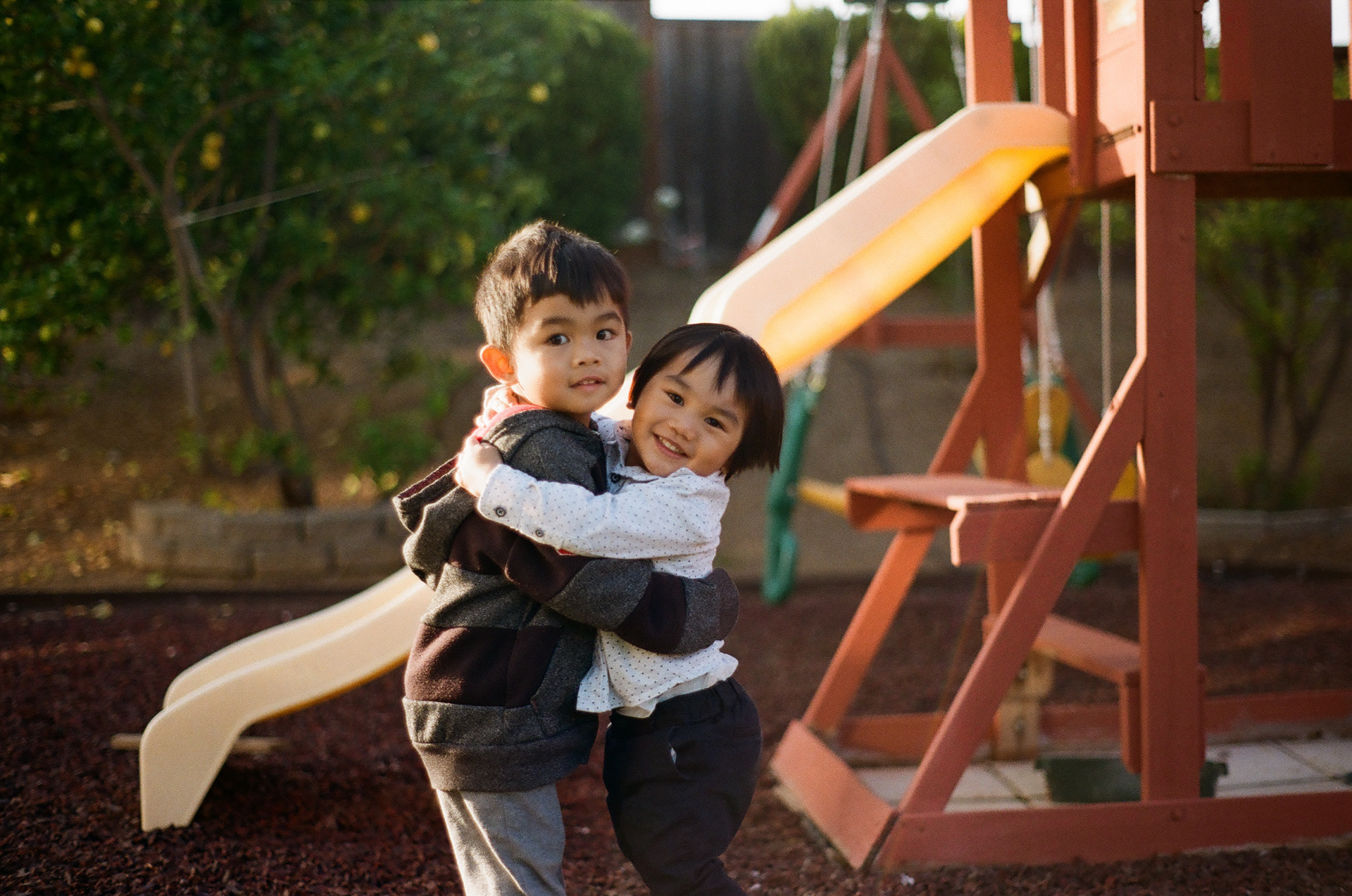 San Jose • March 2022 • Minolta Maxxum 9000 • Minolta 50mm 1.7 AF