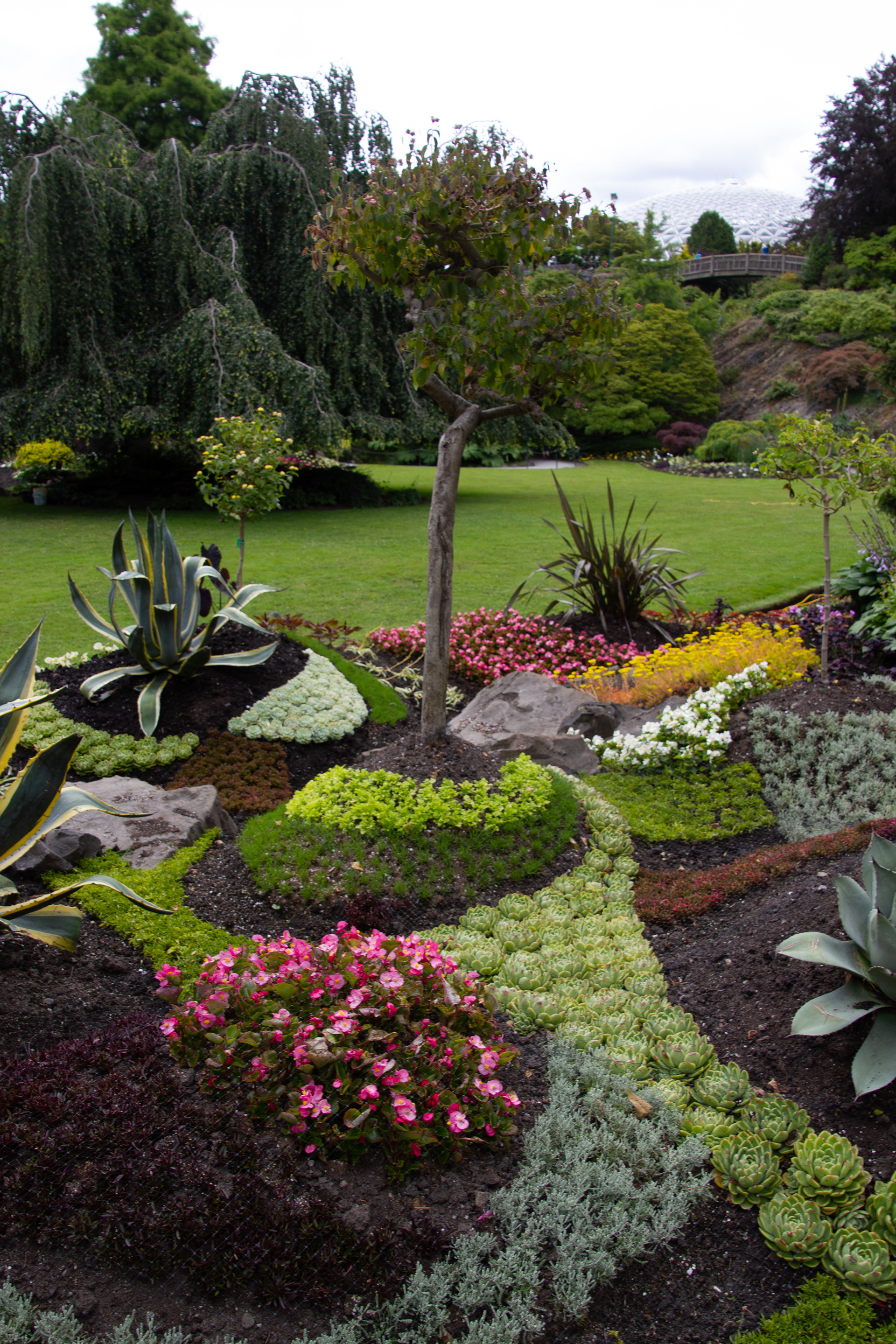 Canon EOS REBEL T2i | Tamron AF 18-270mm f/3.5-6.3 Di II VC PZD