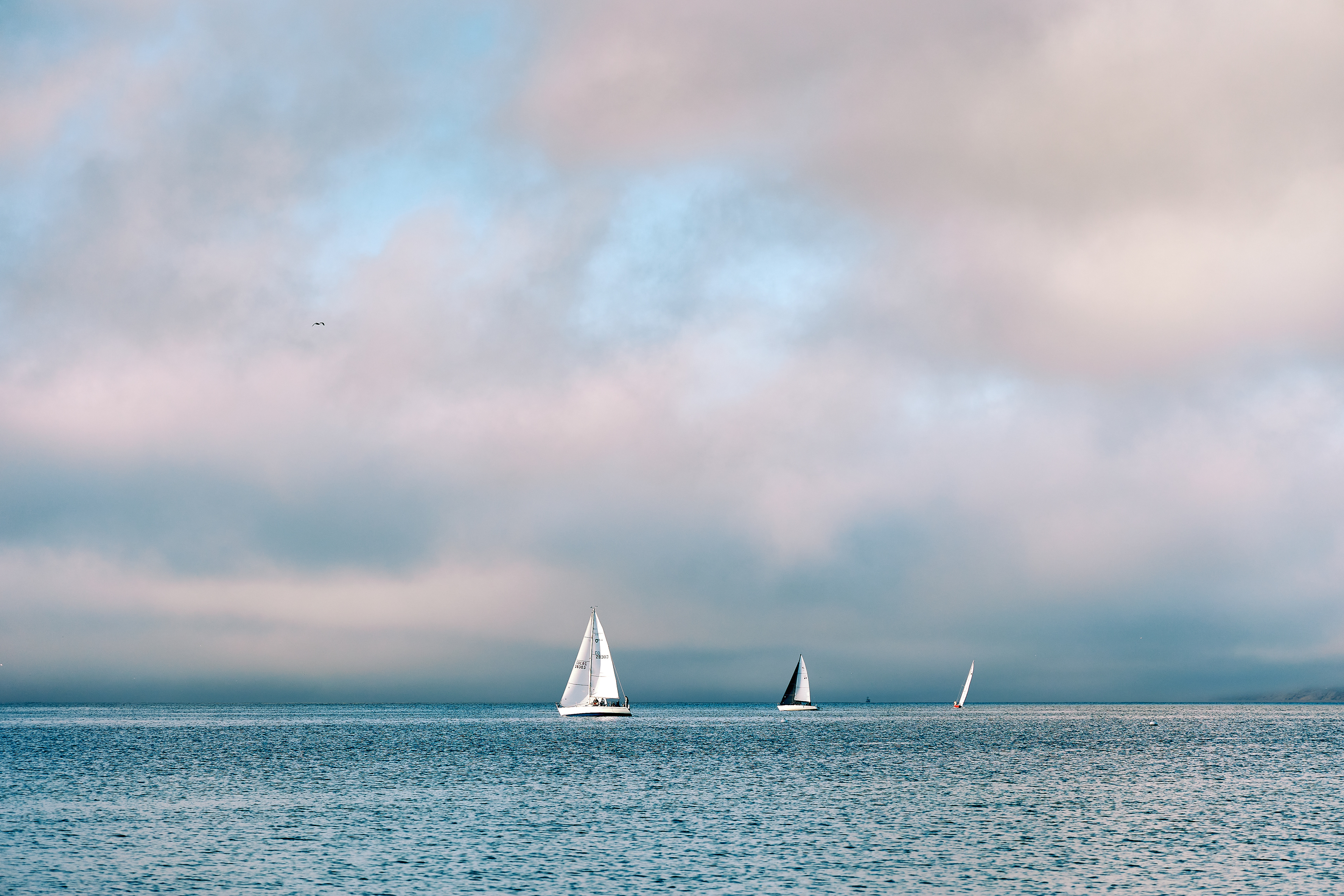 Shore & sail boats at Del Monte Beach, Monterey, CaliforniaMonterey, California - July 2022. Canon EOS R6 | Canon RF 24-105mm F4L IS USM