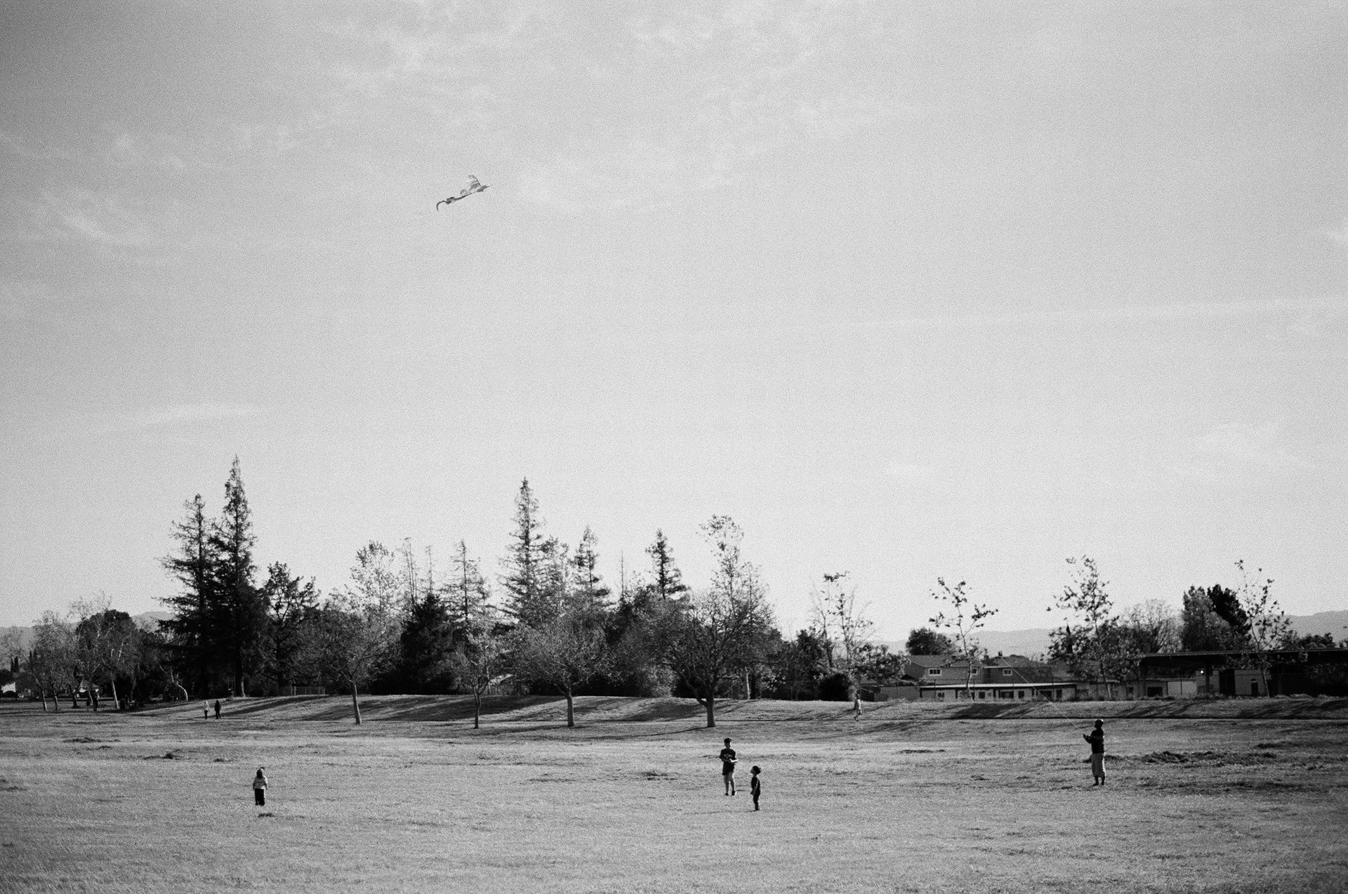 San Jose • March 2022 • Minolta Maxxum 9000 • Minolta 50mm 1.7 AF • Kodak Select Series 400 B&W Plus