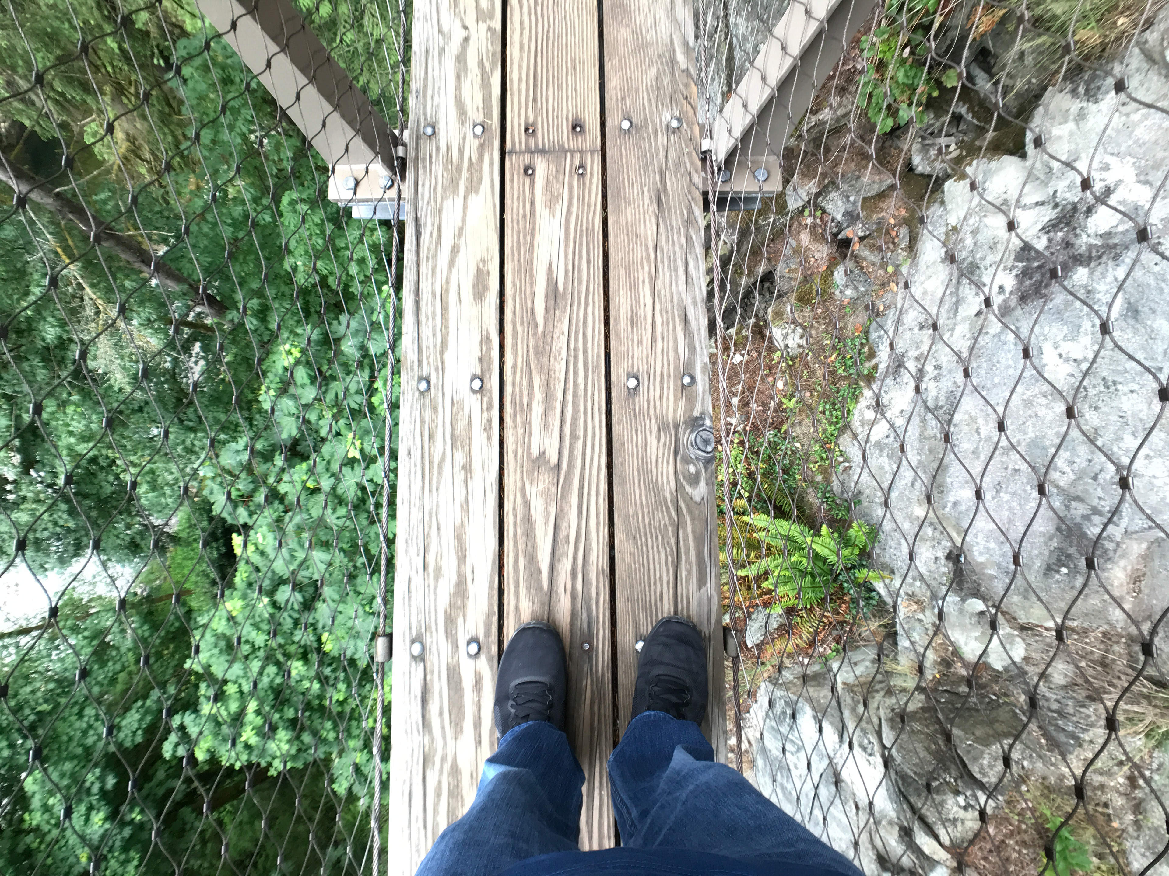 Capilano, suspension bridge, Canada