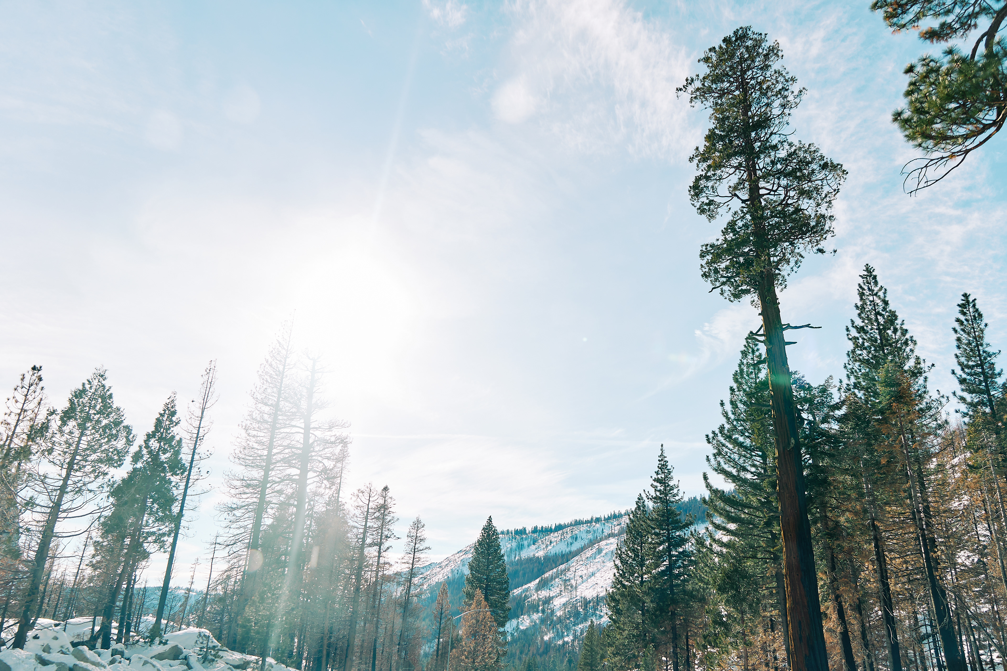 Road home from Tahoe. Canon RF 24-105mm F4L IS USM