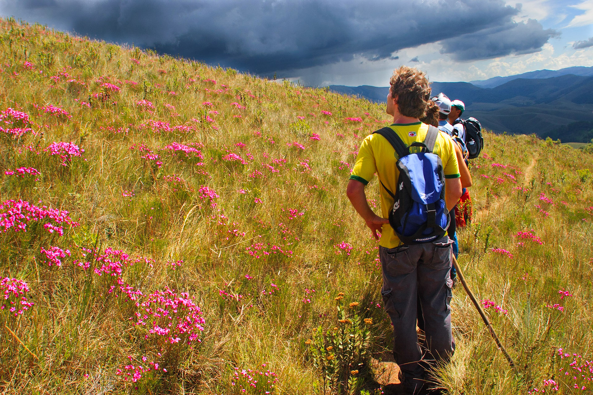 Campos de Altitude