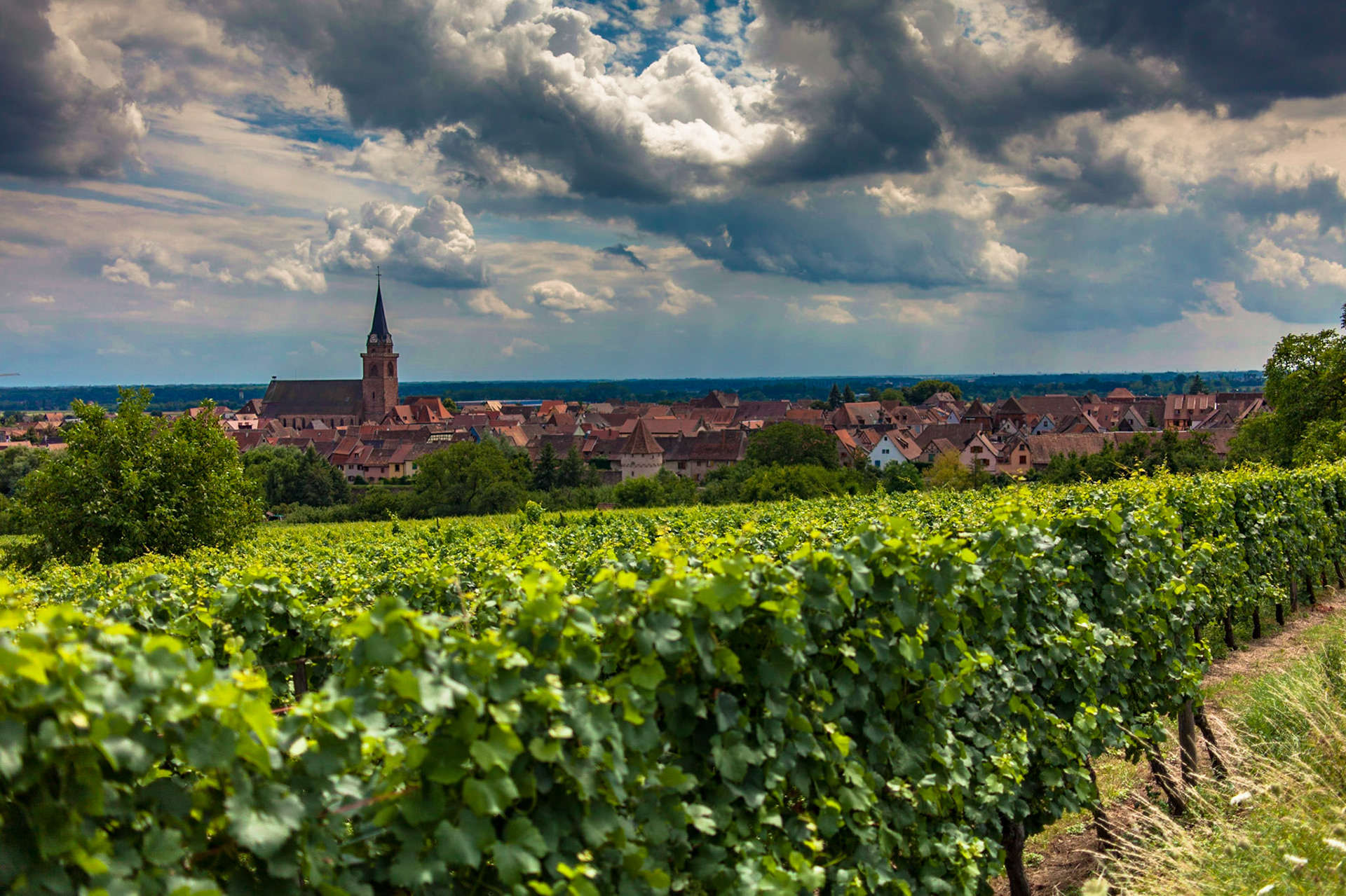 Bergheim
