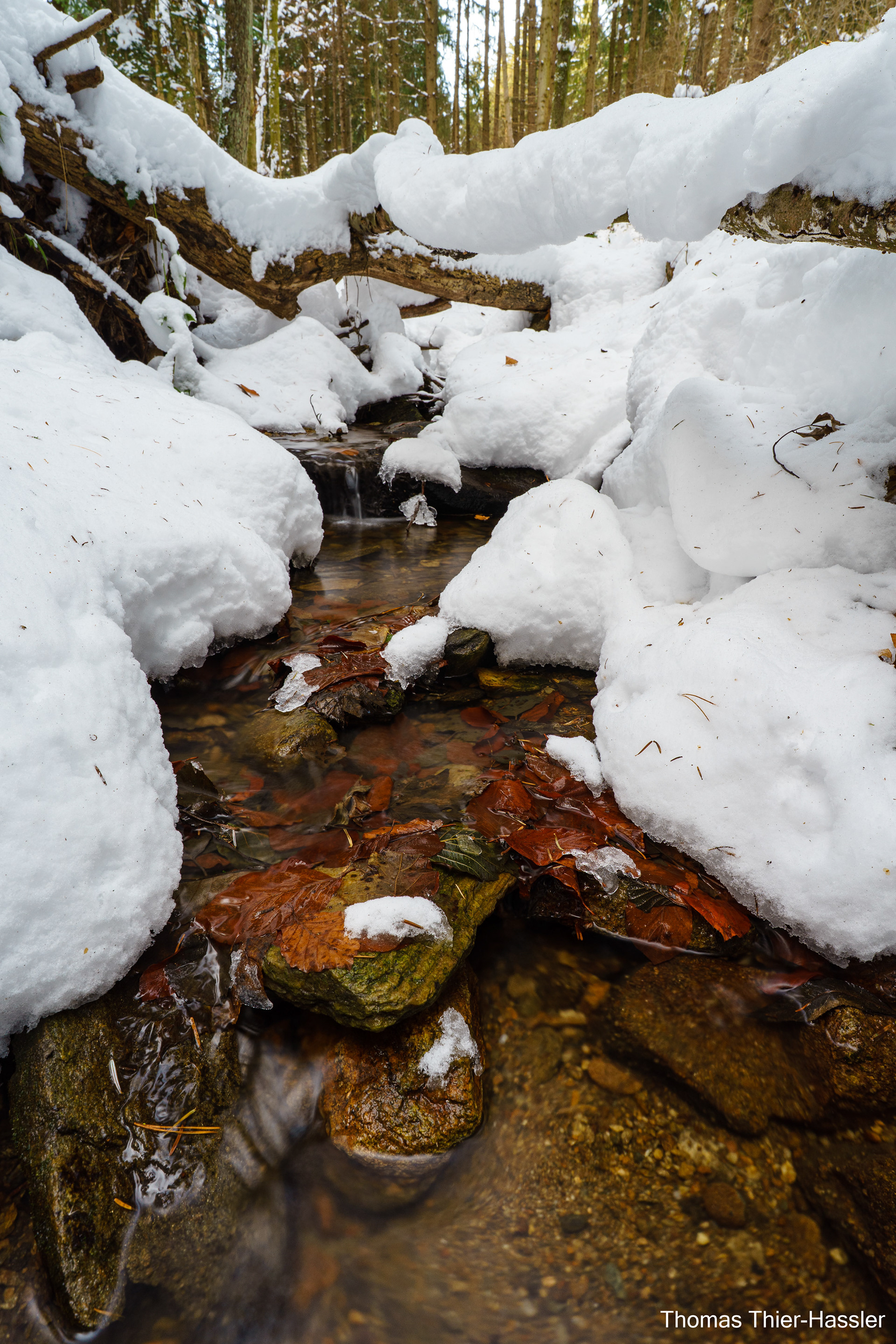 Winter stream, Austria