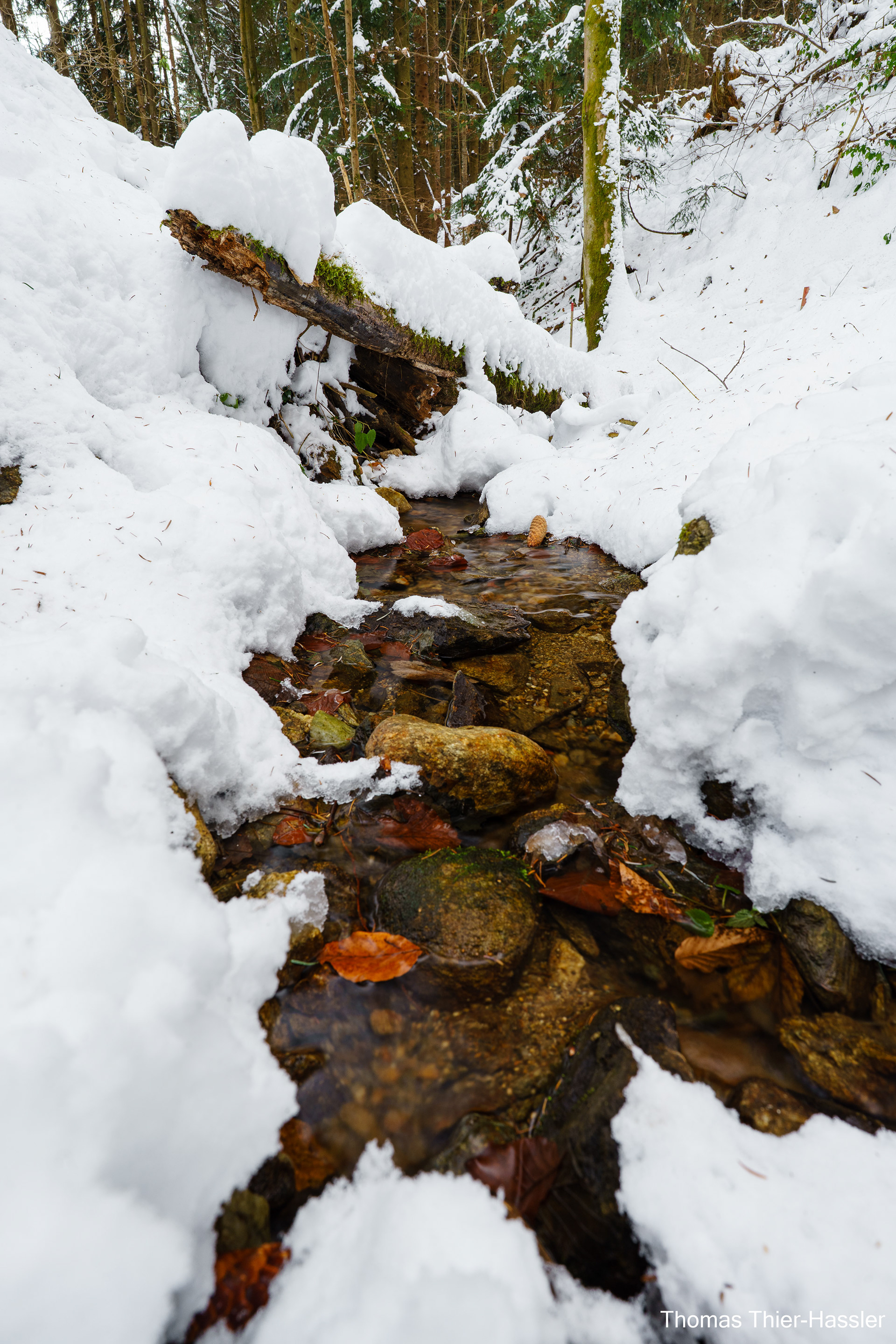 Winter stream, Austria