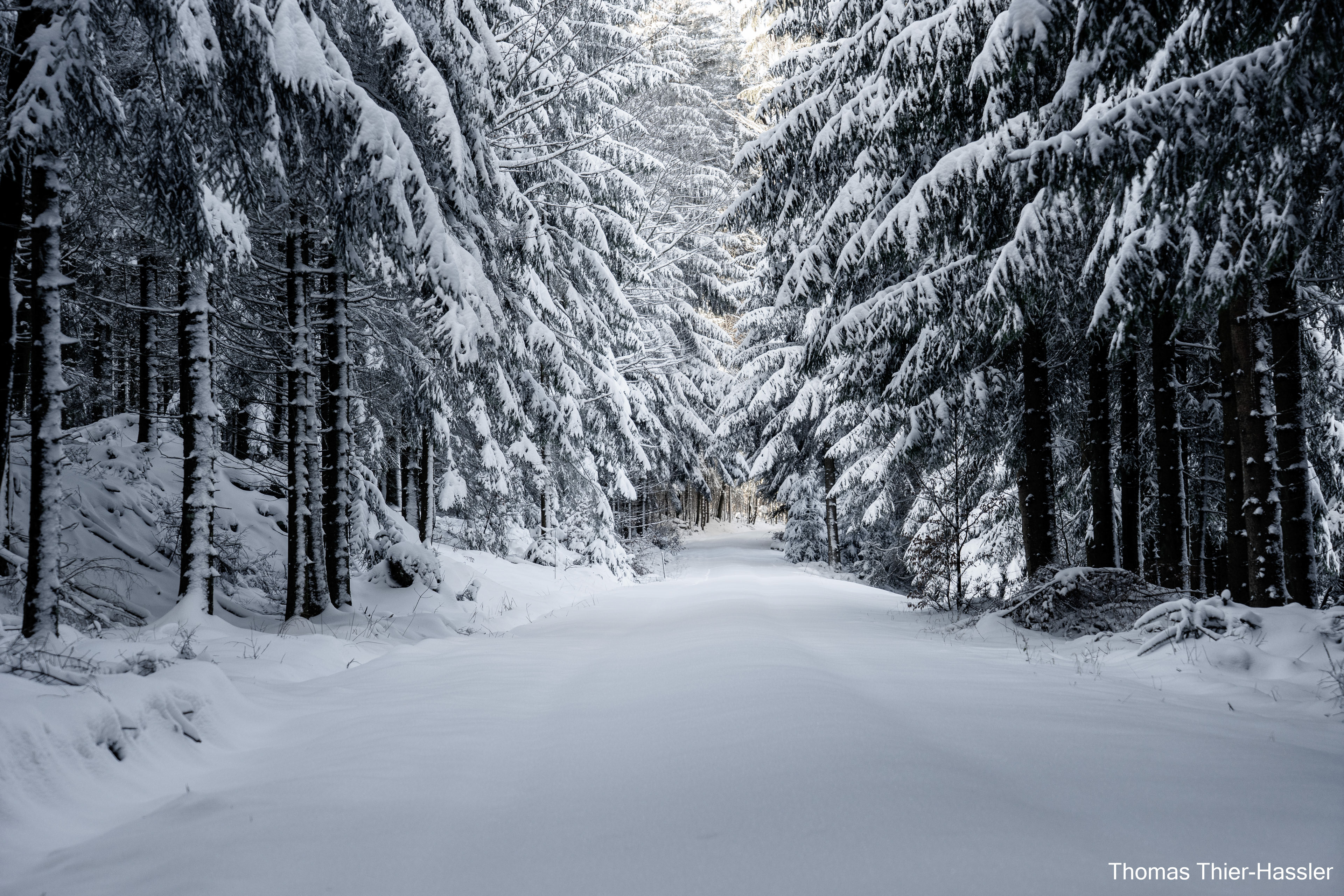 Winter path, Austria