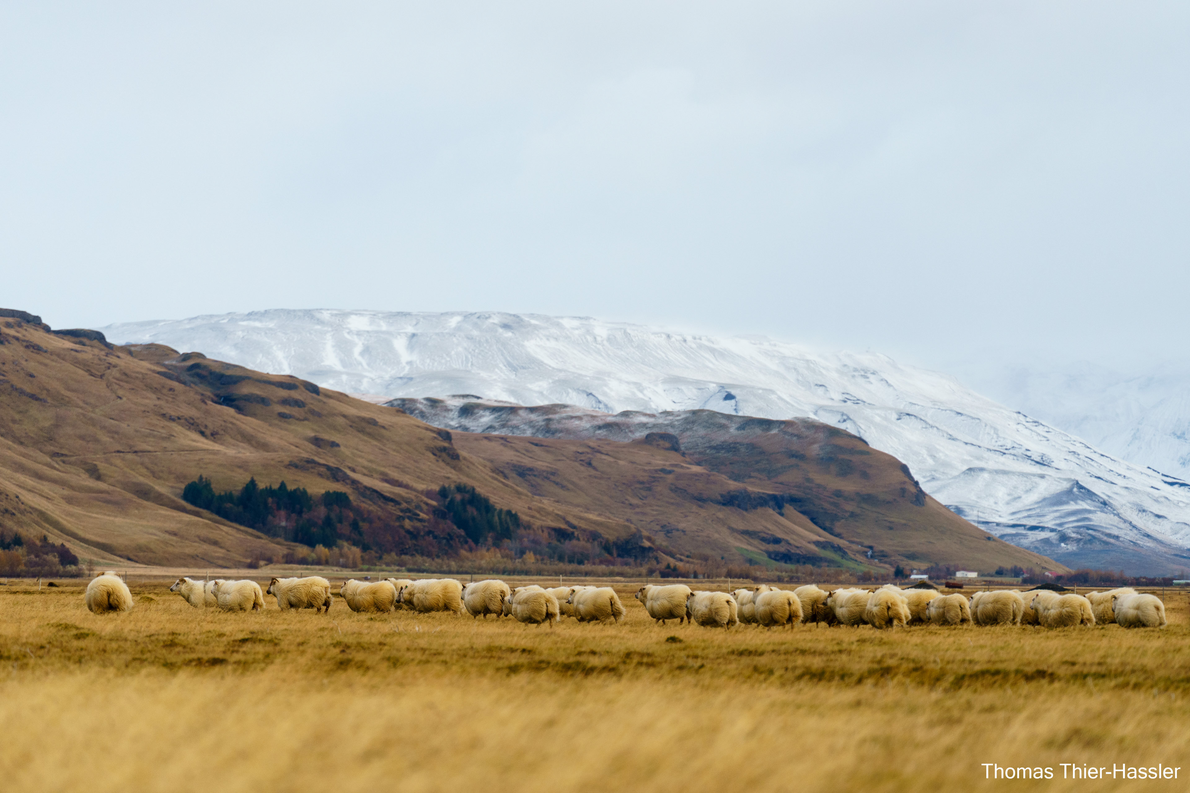 Hvolsvöllur, Iceland