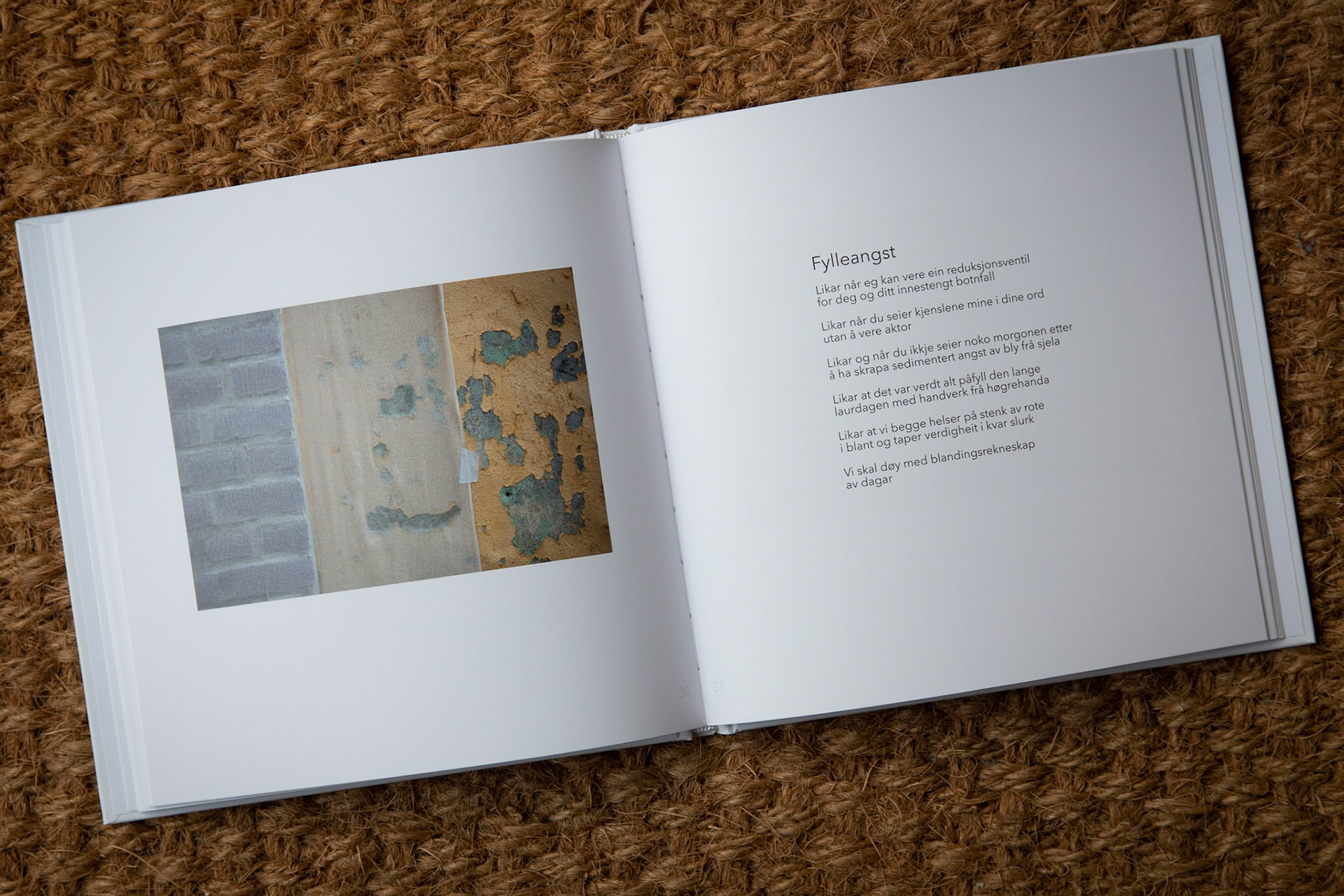 Illustrasjon fra "Tilfluktsrom"