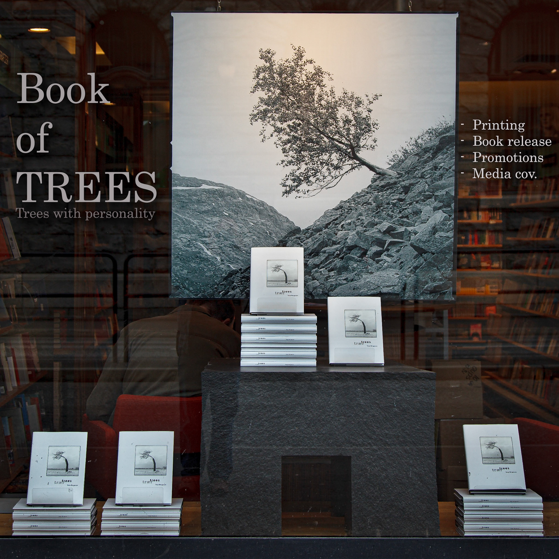 Window at Norli in Bergen