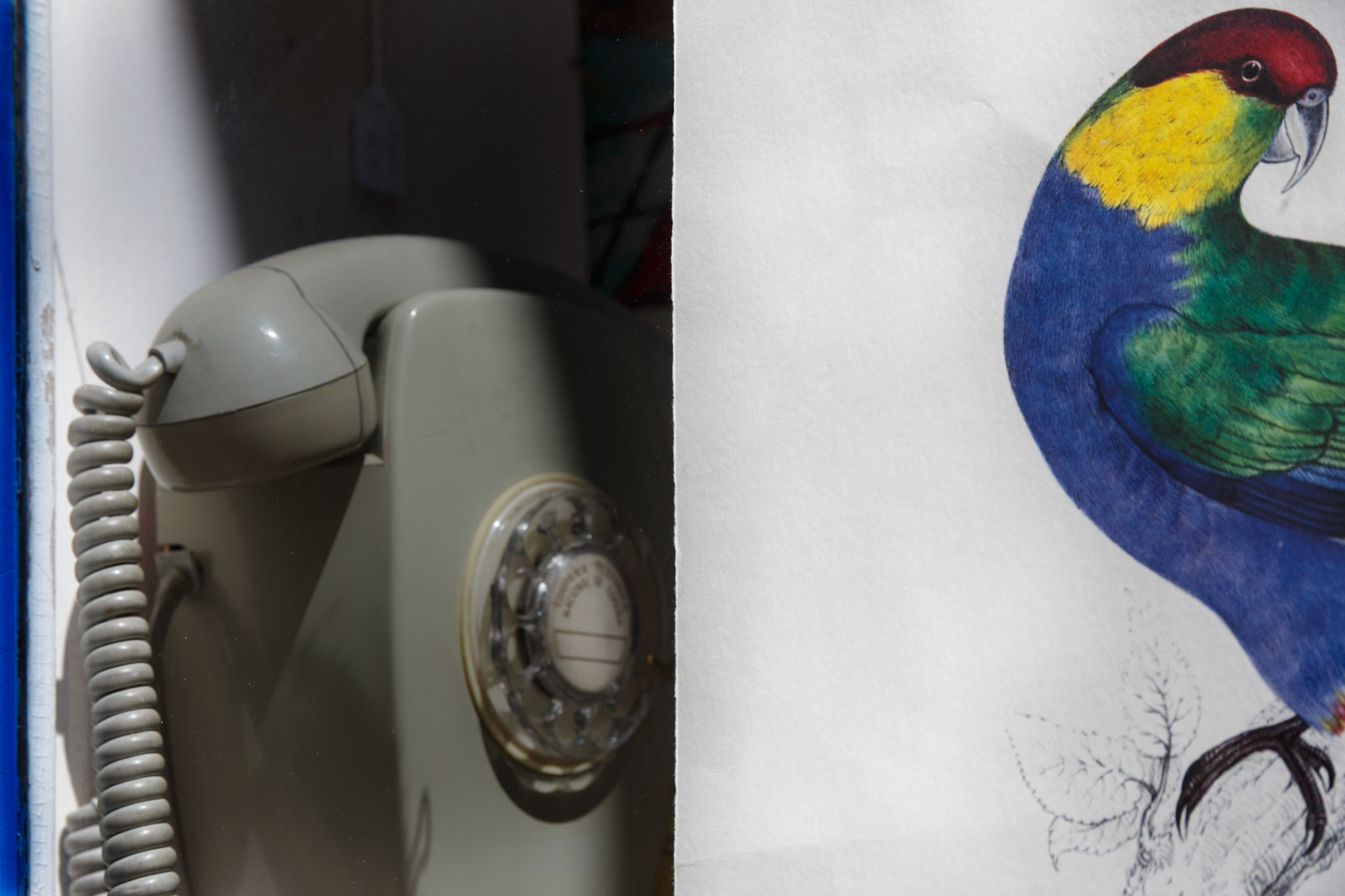 Foto fra prosjektet "En delt verden"