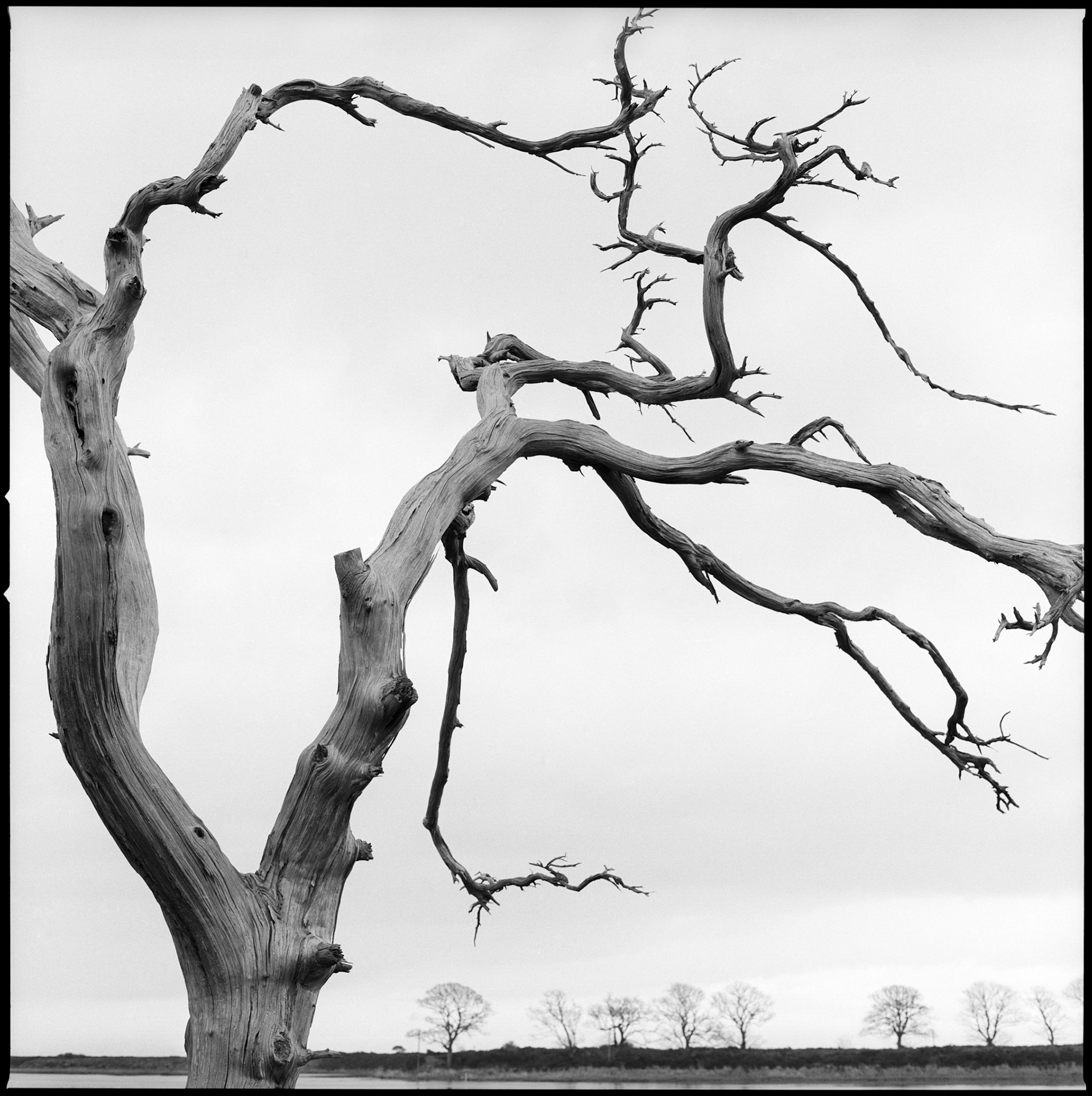 18x18: 1-30: Erling Valtyrson