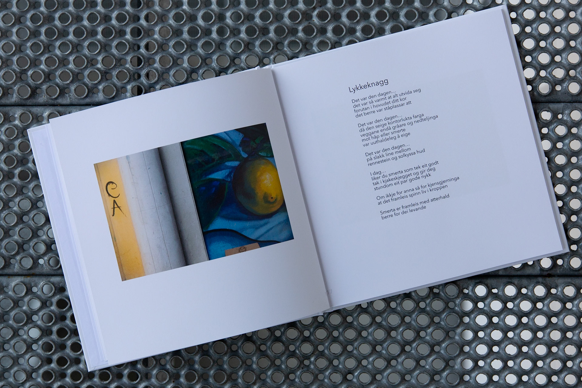 Illustrasjon fra "Tilfluktsrom"