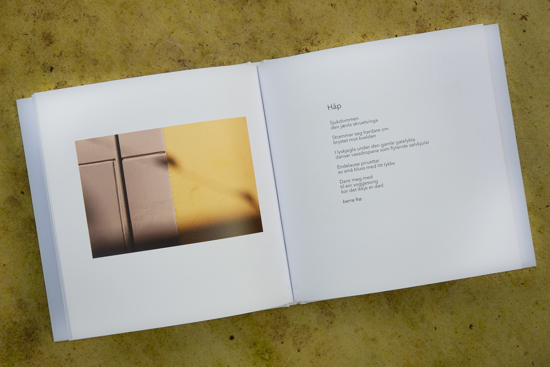 Illustrasjon fra "Tilfluktsrom"