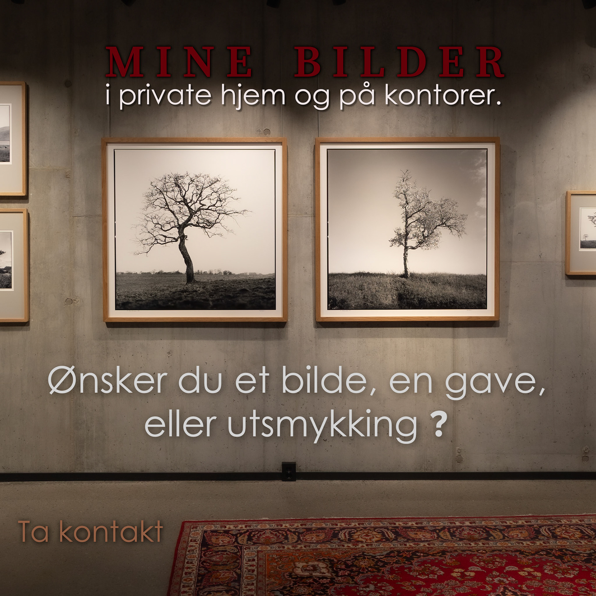 Fra utstillingen TRÆR i Galleri PAUSE, Bergen
